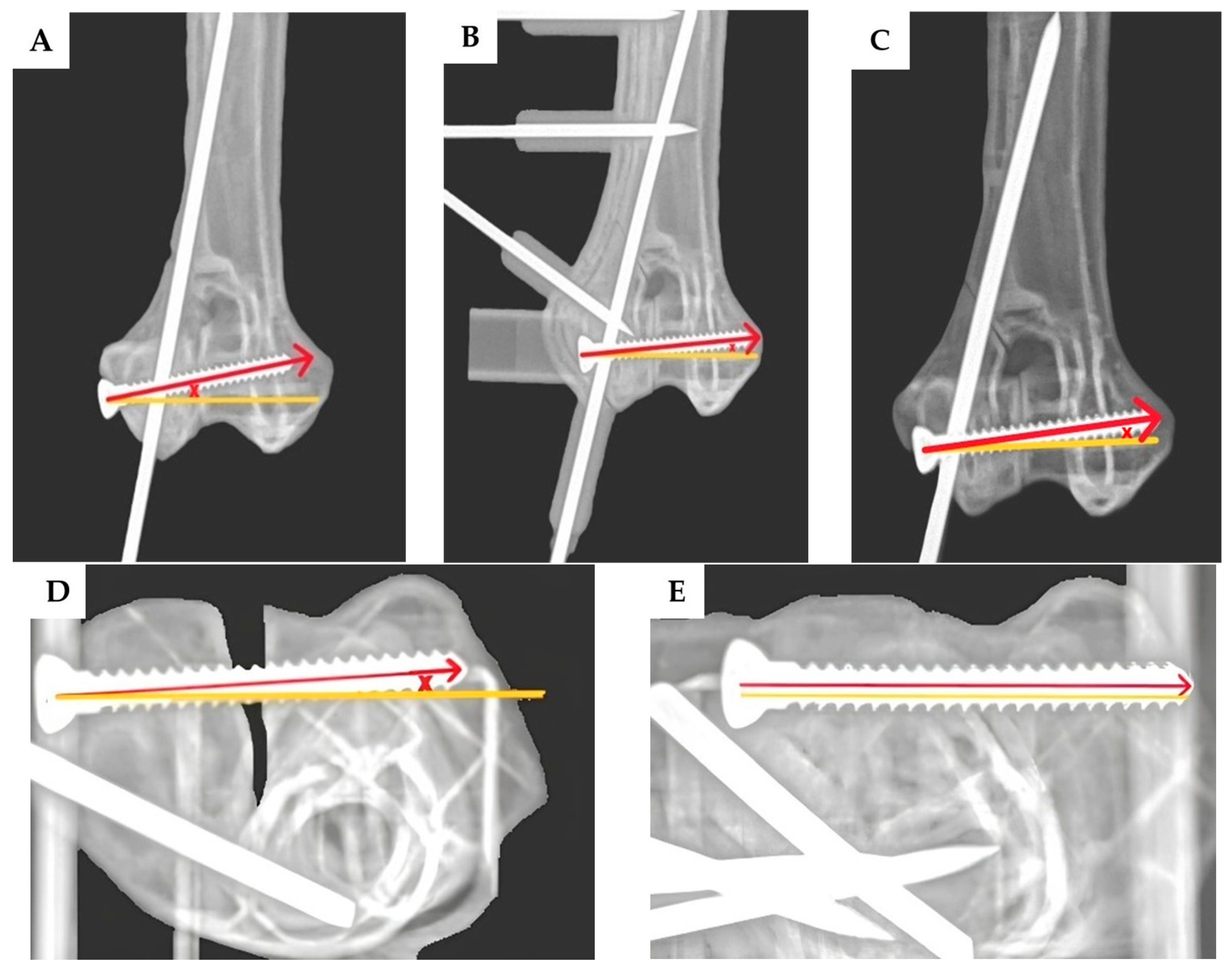 Vetsci 12 00888 g004 Vetsci 12 00888 g004