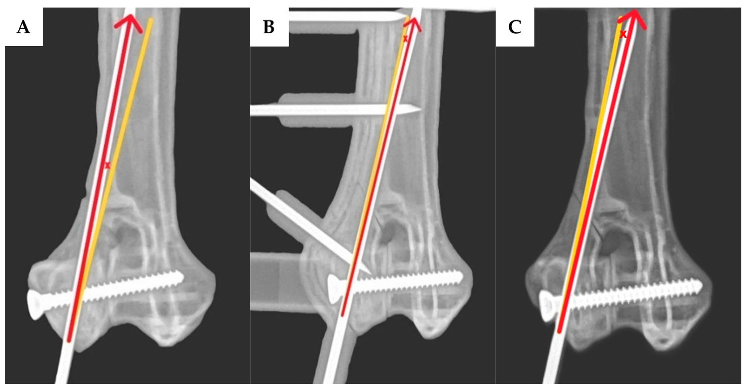 Vetsci 12 00888 g005a Vetsci 12 00888 g005a