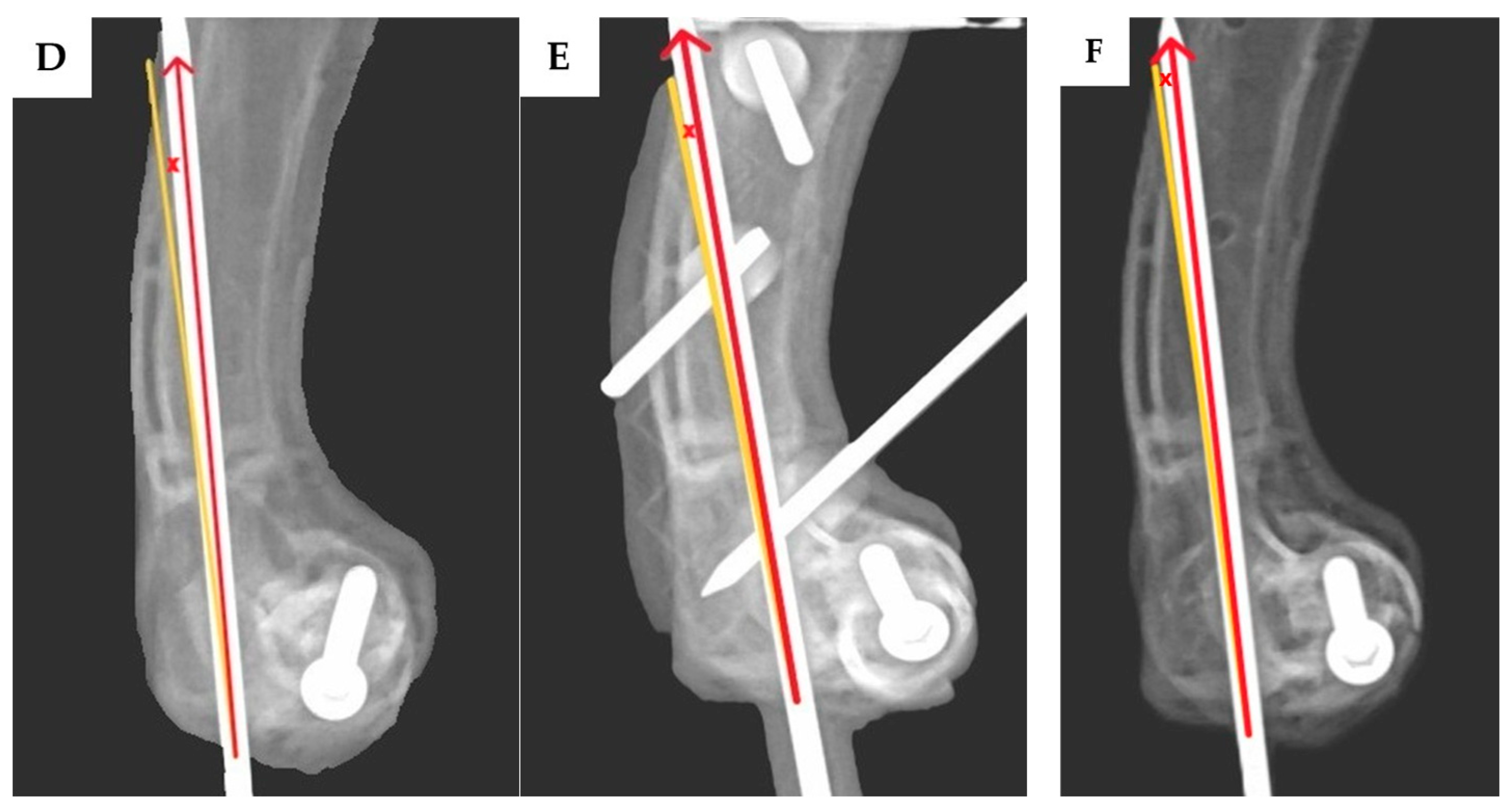 Vetsci 12 00888 g005b Vetsci 12 00888 g005b