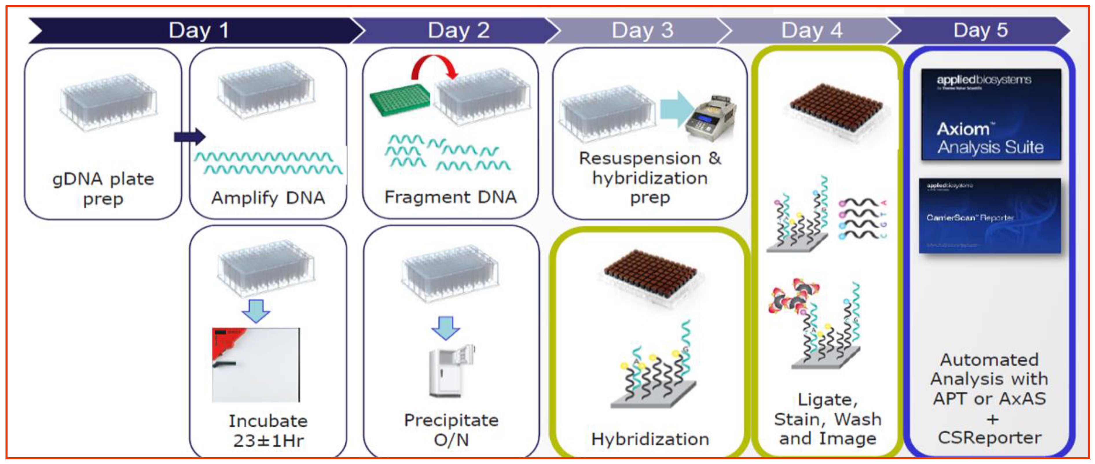 Vetsci 12 00890 g001 Vetsci 12 00890 g001