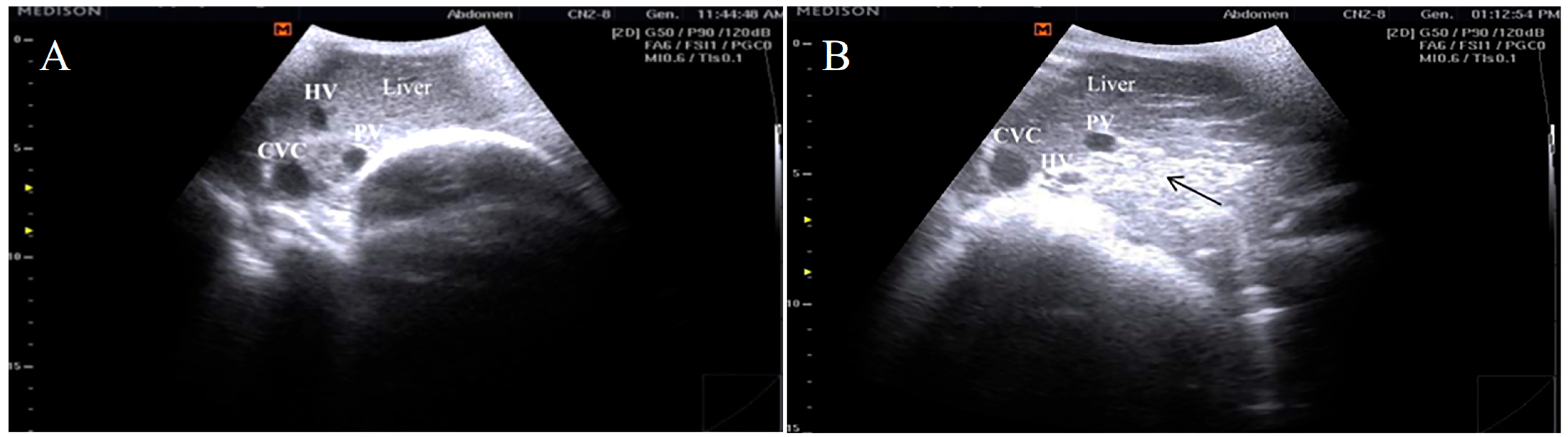 Vetsci 12 00891 g003