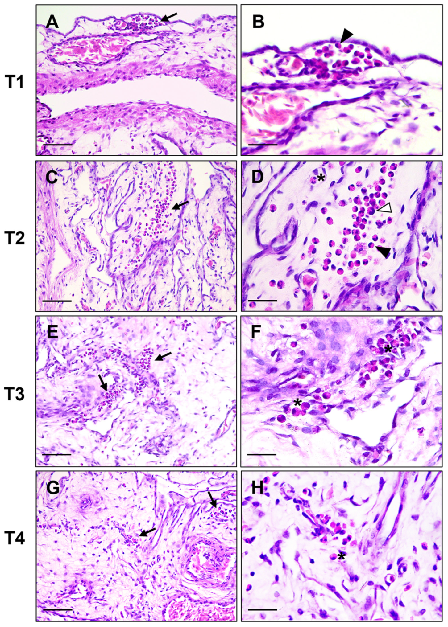 Vetsci 12 00892 g001