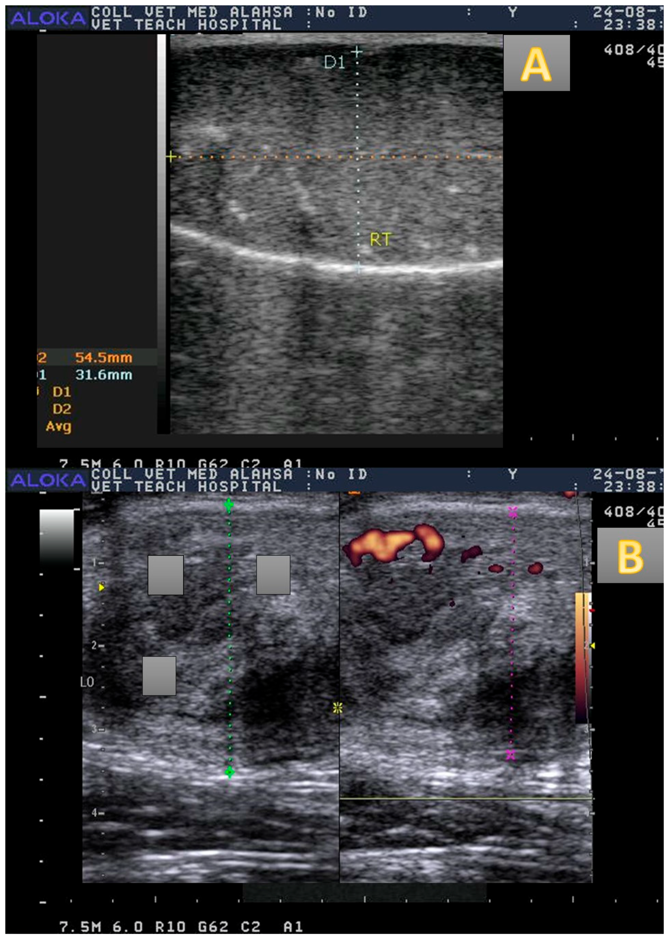 Vetsci 12 00896 g001