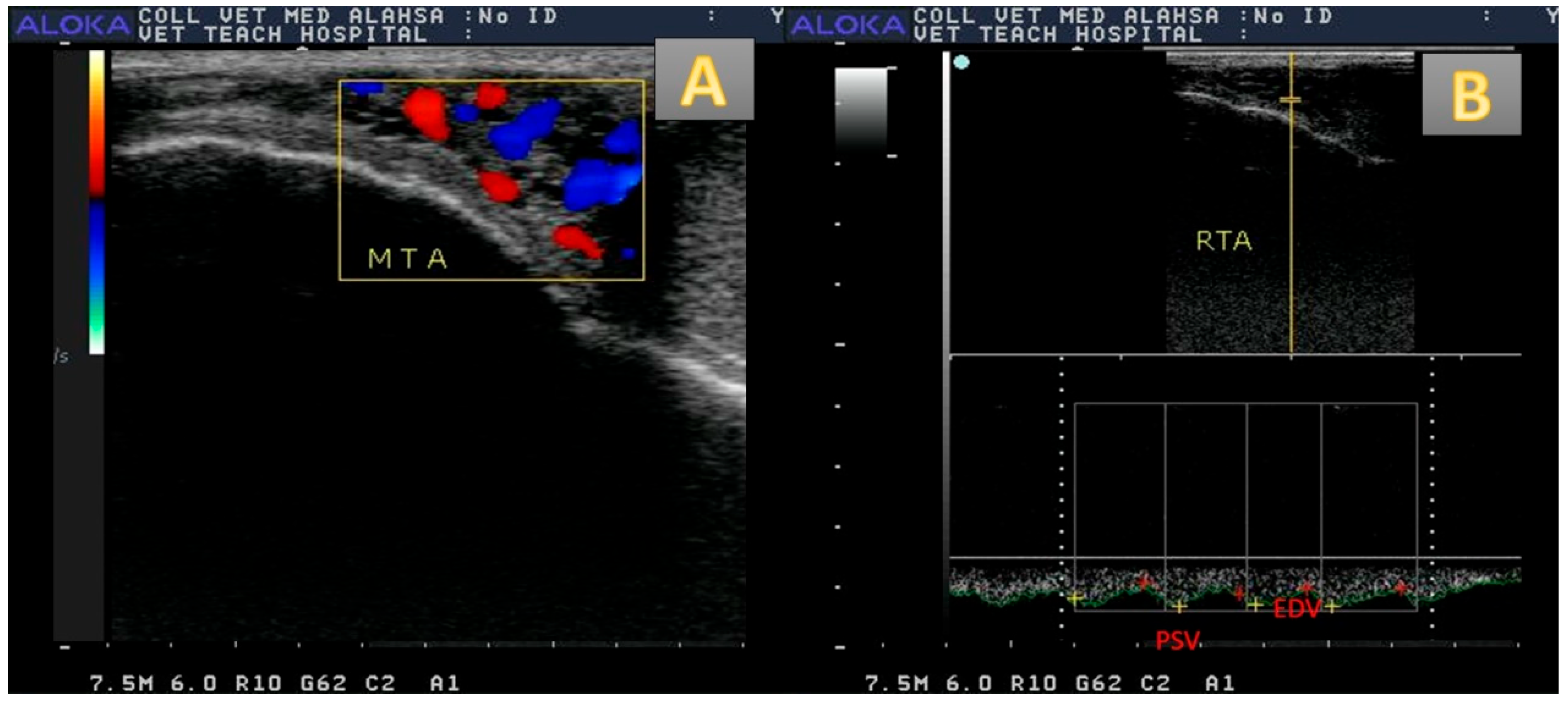 Vetsci 12 00896 g002