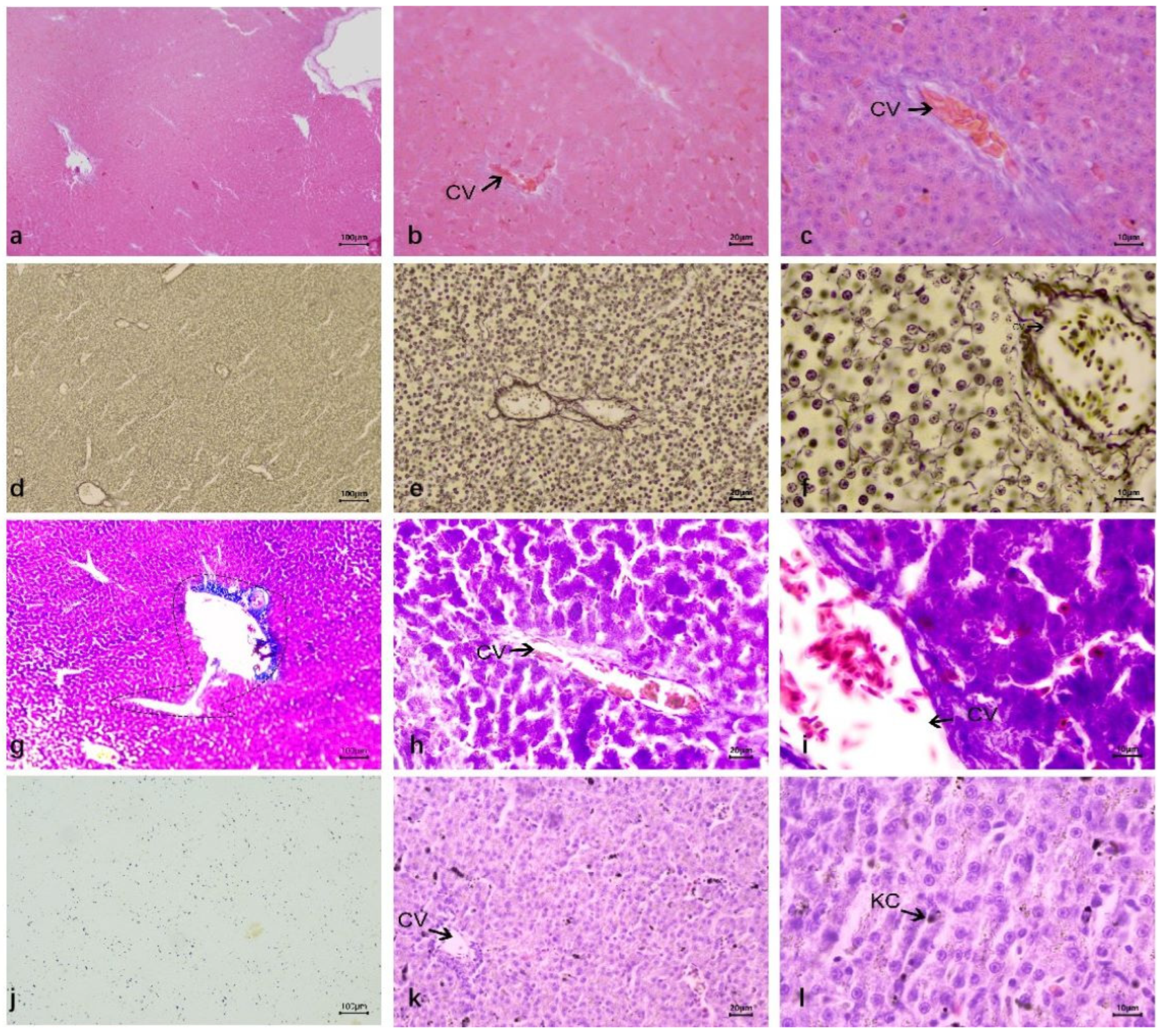 Vetsci 12 00900 g002 Vetsci 12 00900 g002