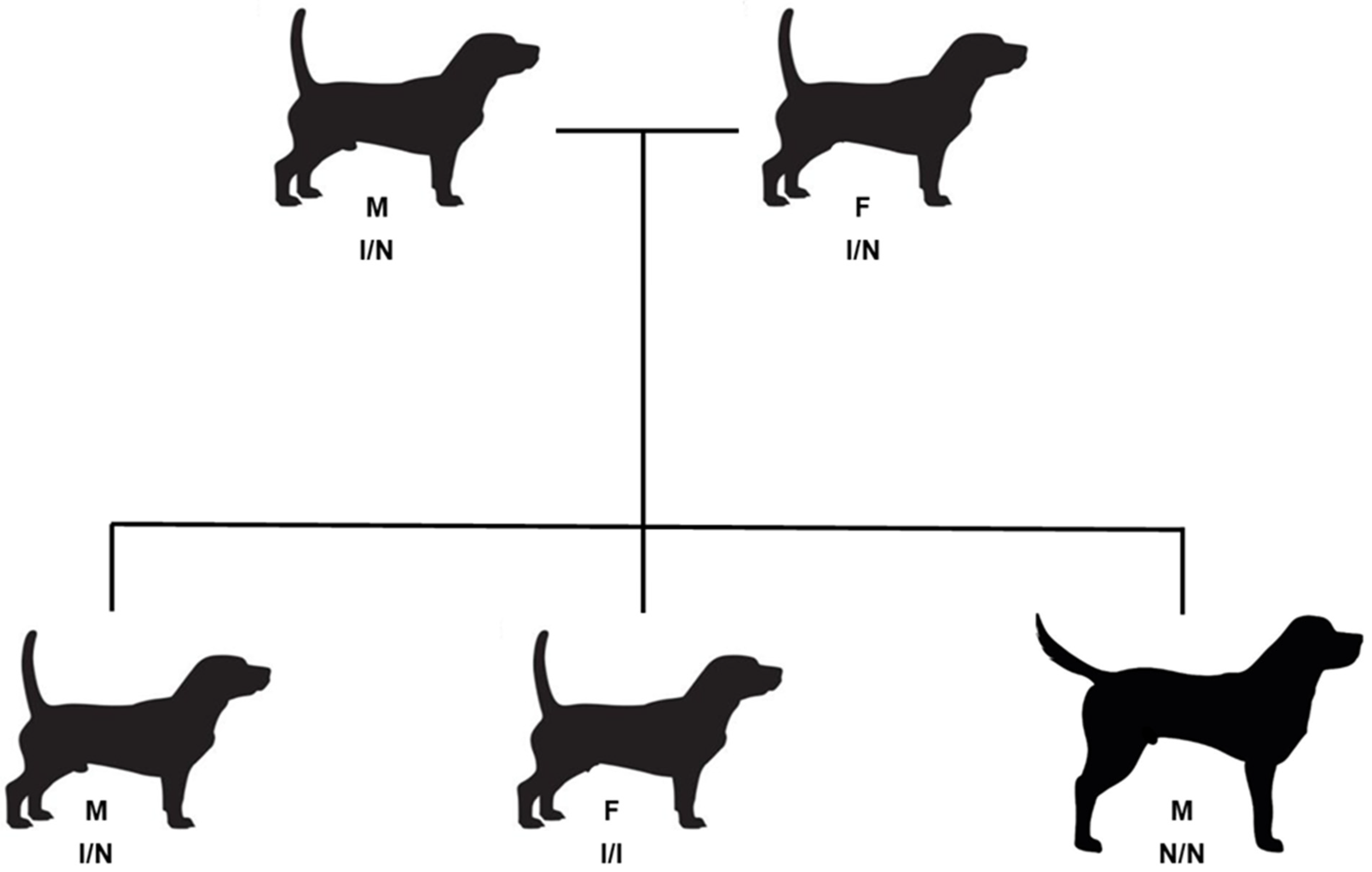 Vetsci 12 00916 g002