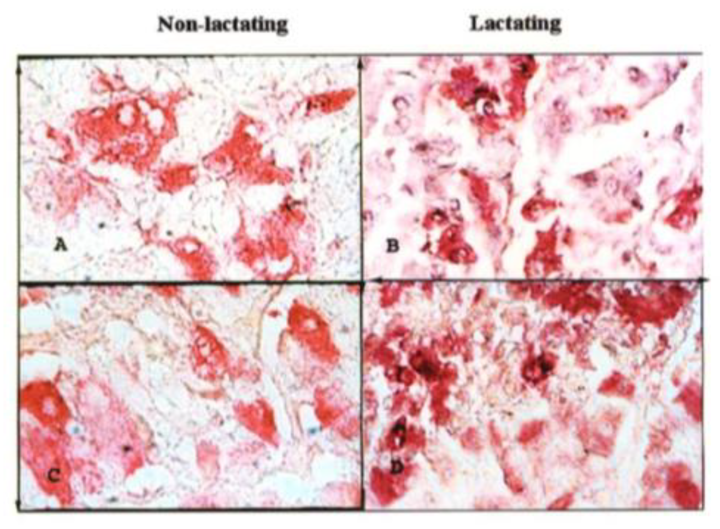 Vetsci 12 00917 g001 Vetsci 12 00917 g001
