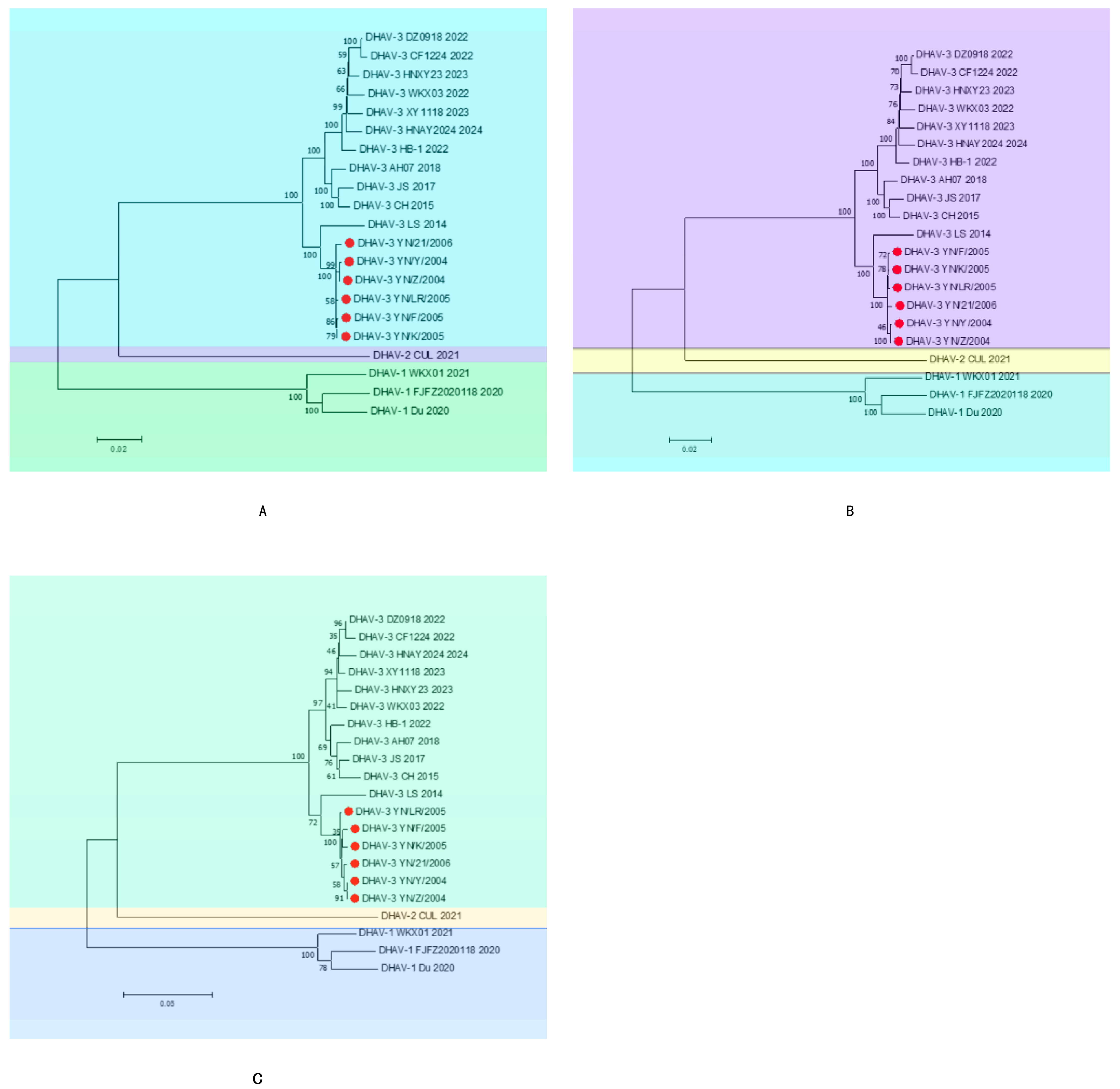 Vetsci 12 00923 g002