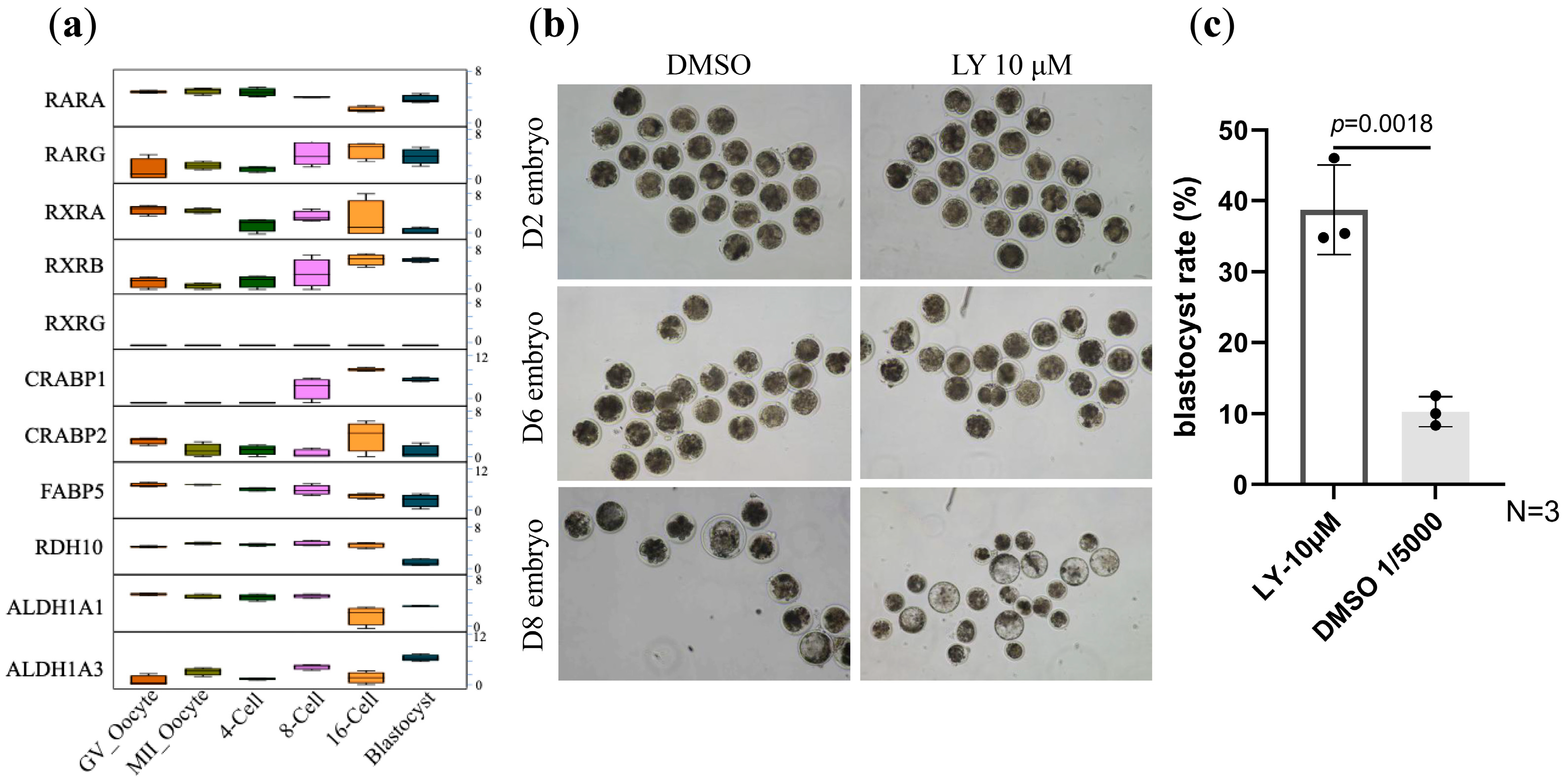Vetsci 12 00924 g001 Vetsci 12 00924 g001