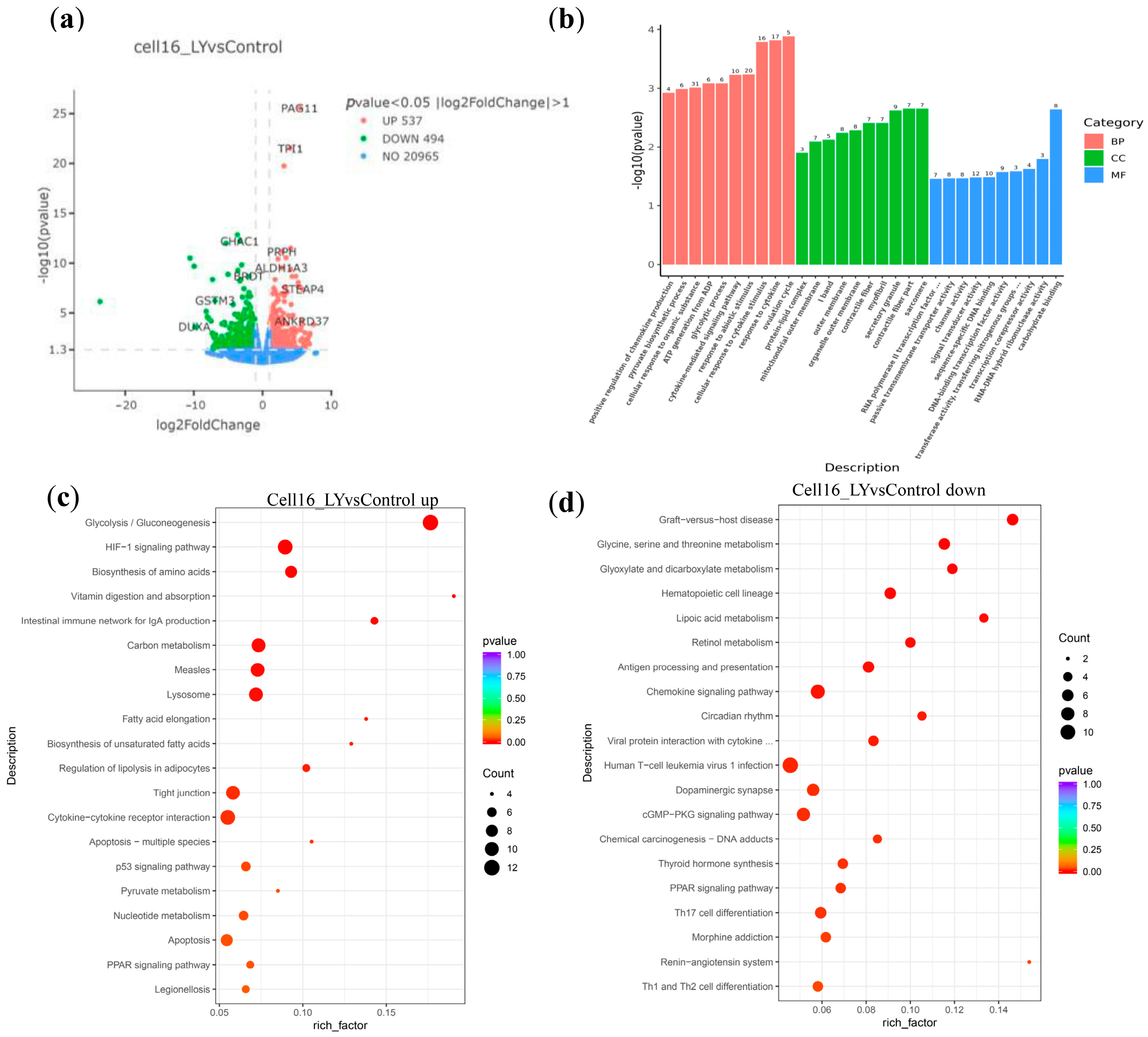 Vetsci 12 00924 g003 Vetsci 12 00924 g003