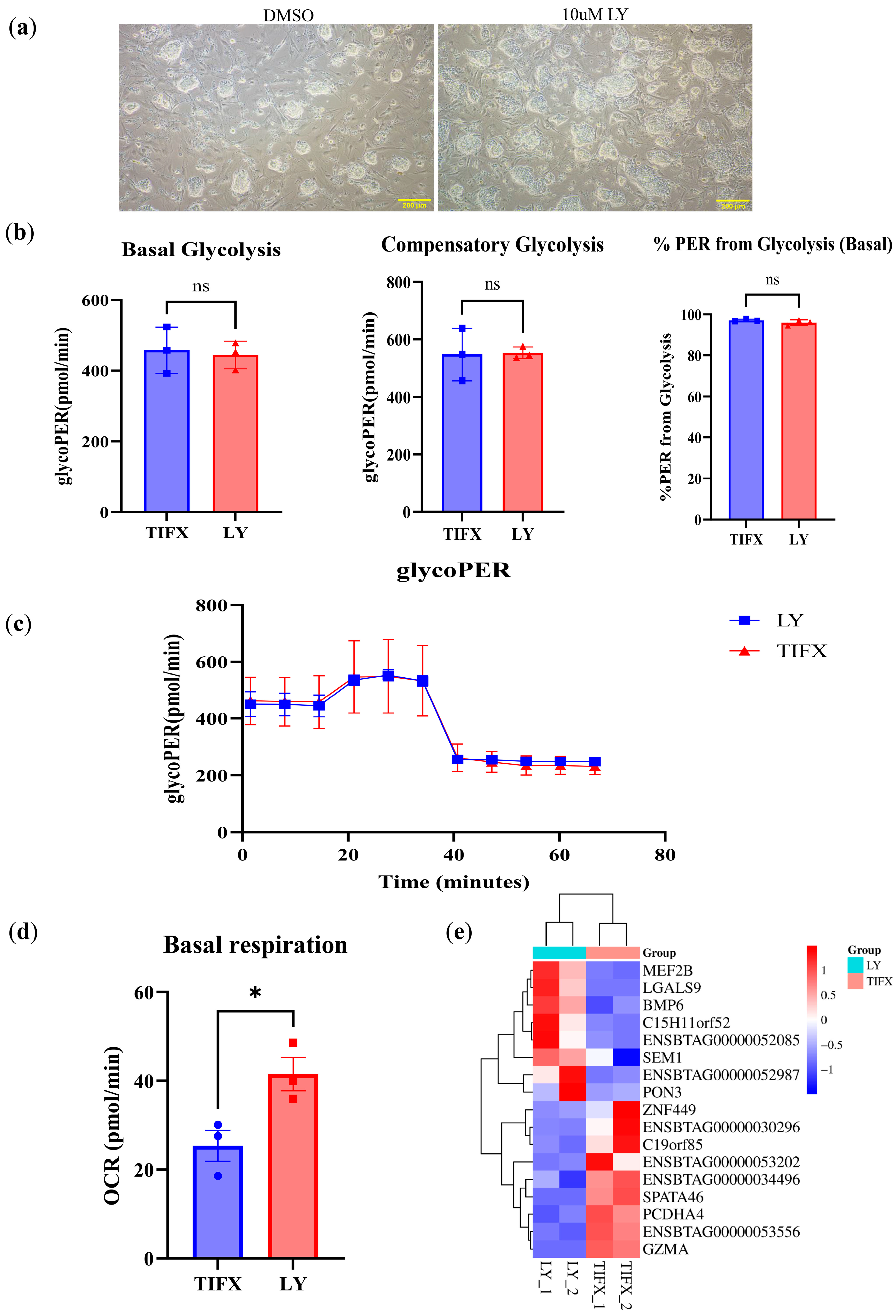 Vetsci 12 00924 g005 Vetsci 12 00924 g005