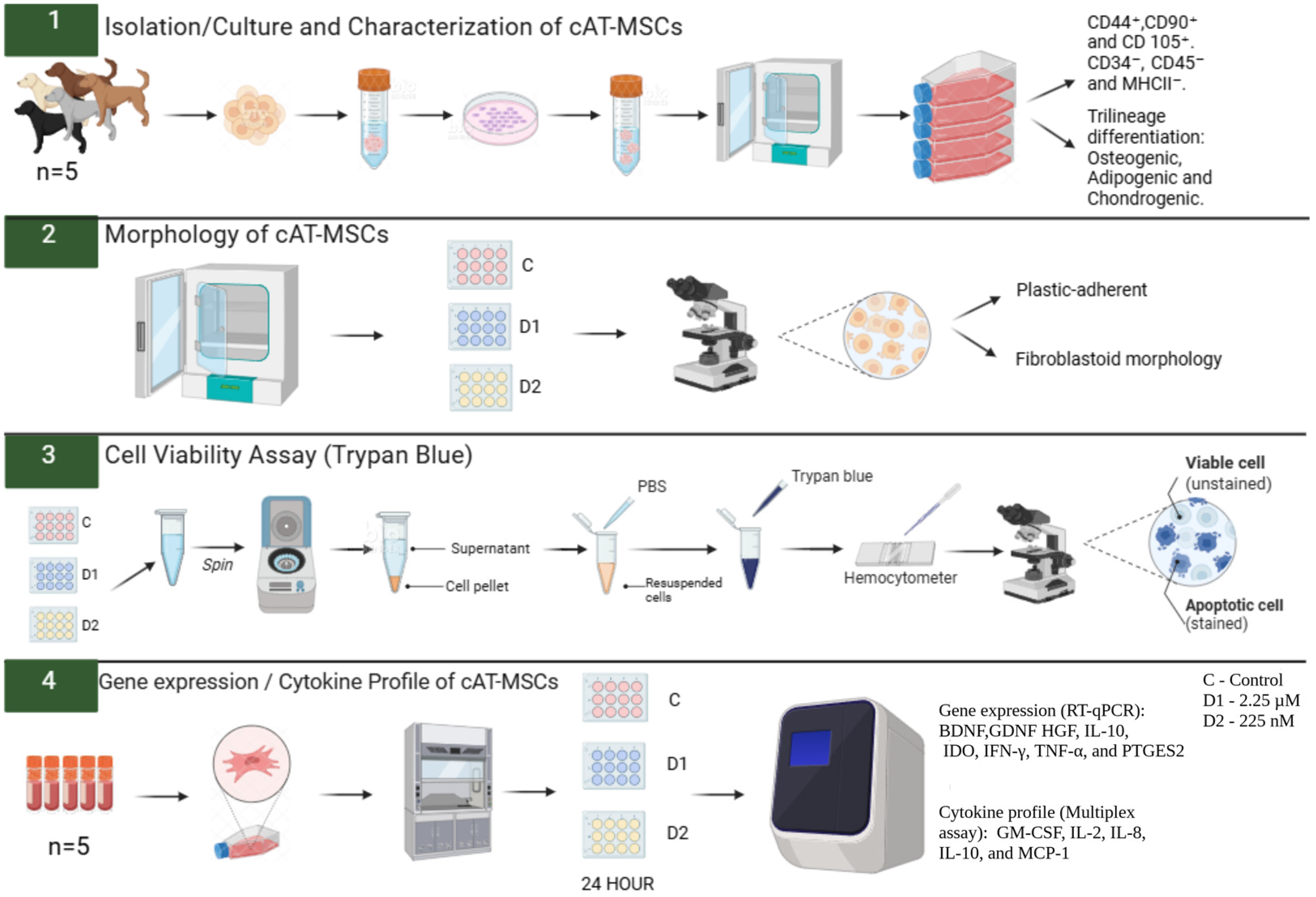 Vetsci 12 00926 g001