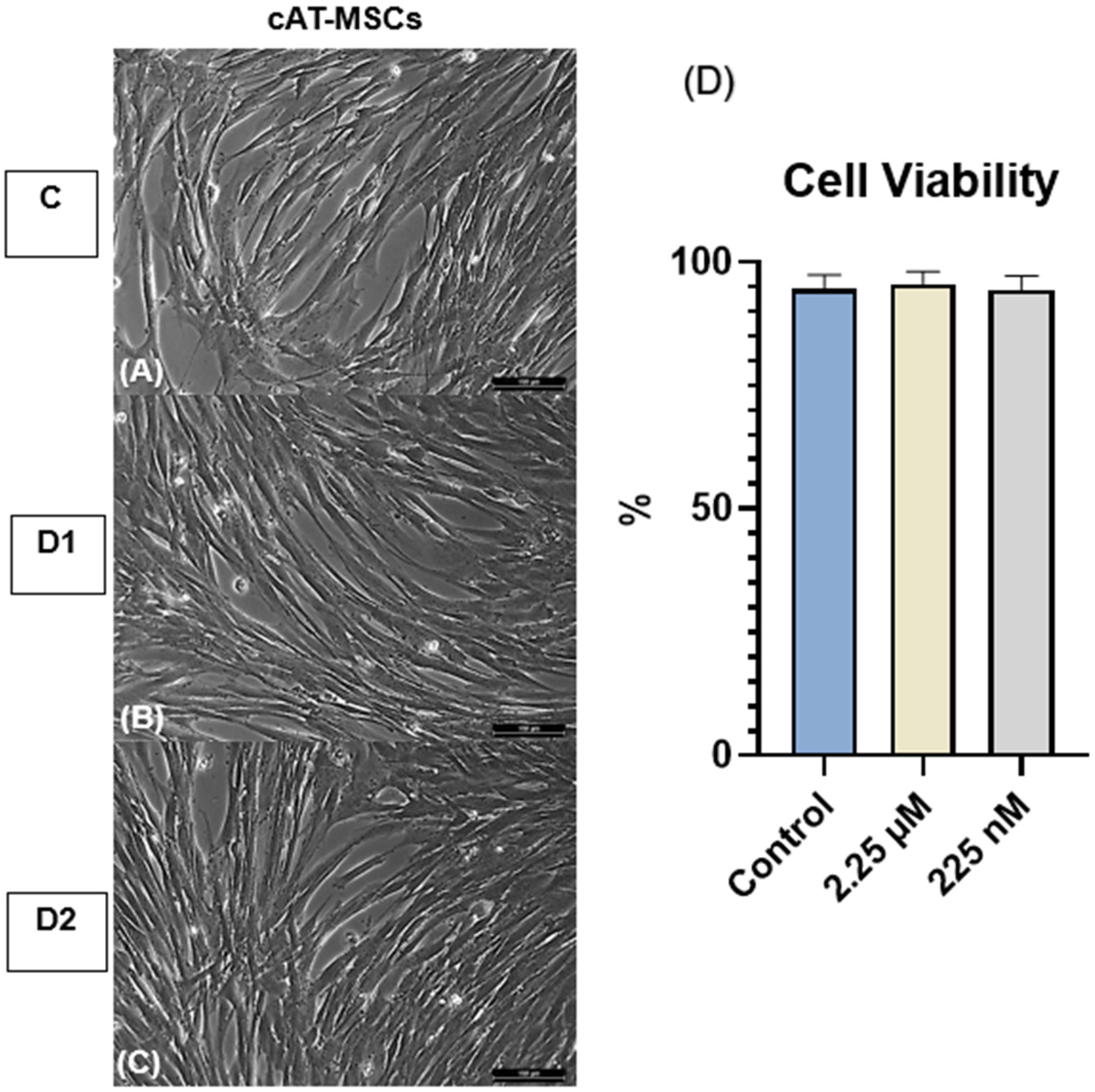 Vetsci 12 00926 g002