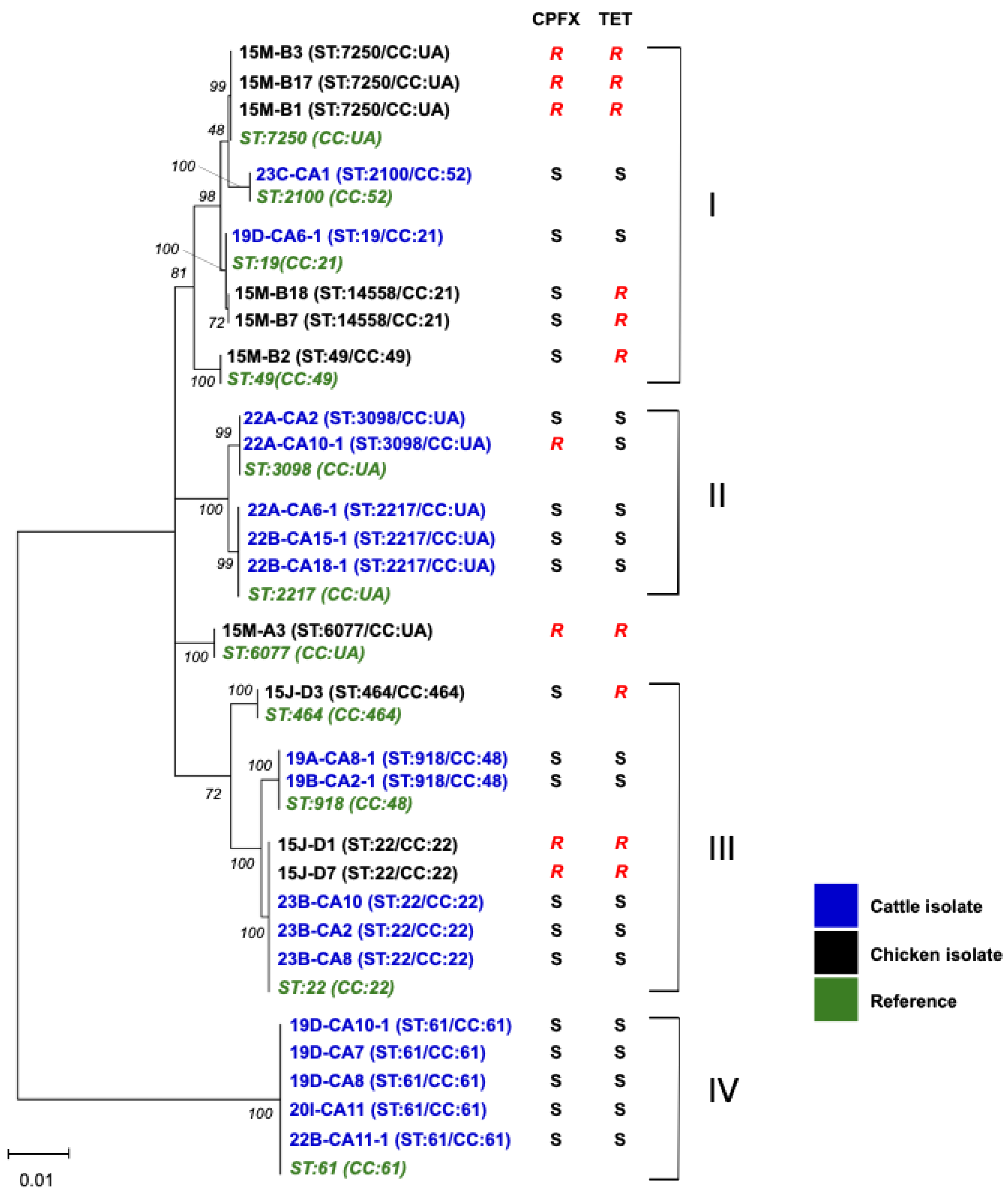 Vetsci 12 00931 g001 Vetsci 12 00931 g001