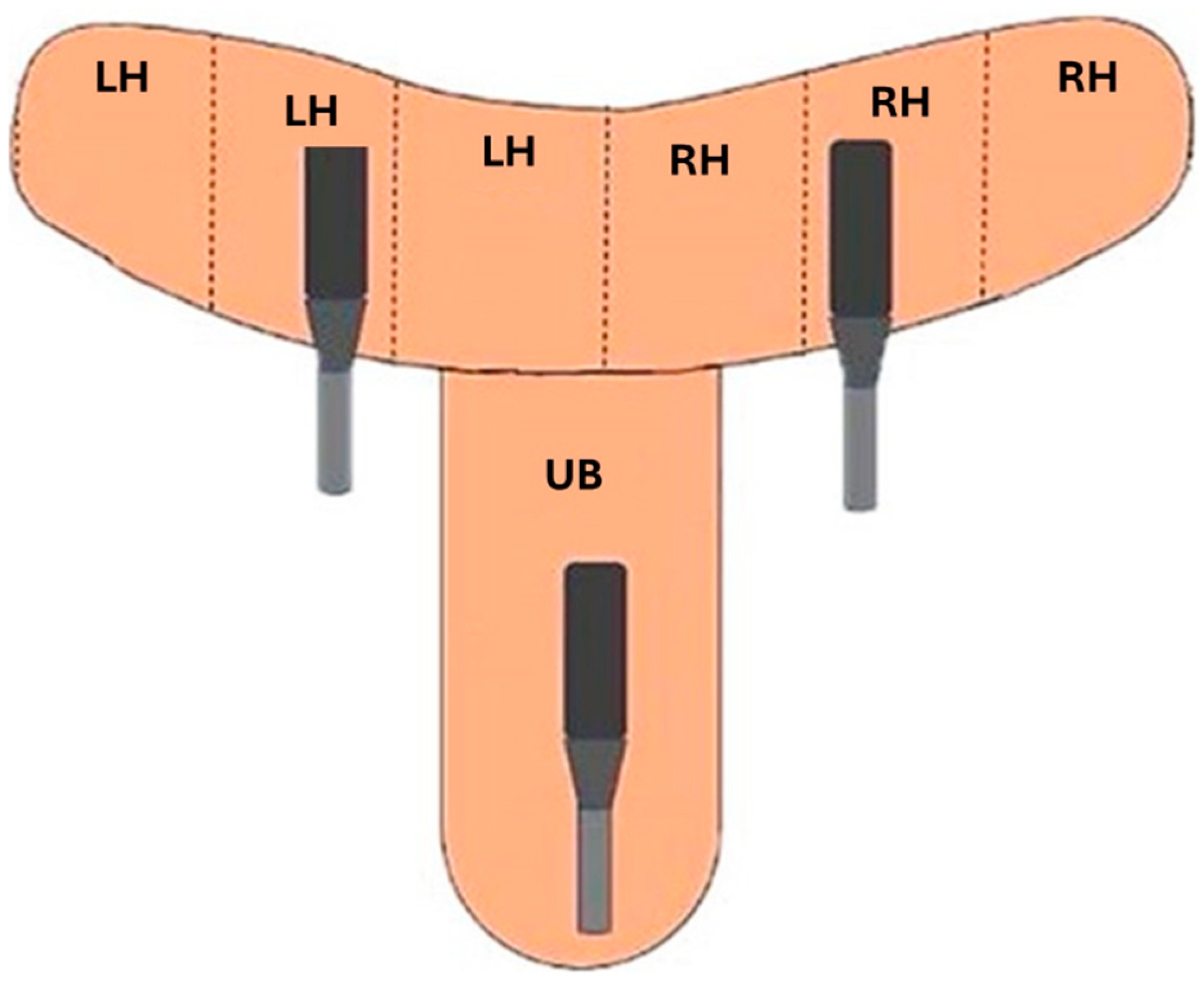 Vetsci 12 00941 g002 Vetsci 12 00941 g002