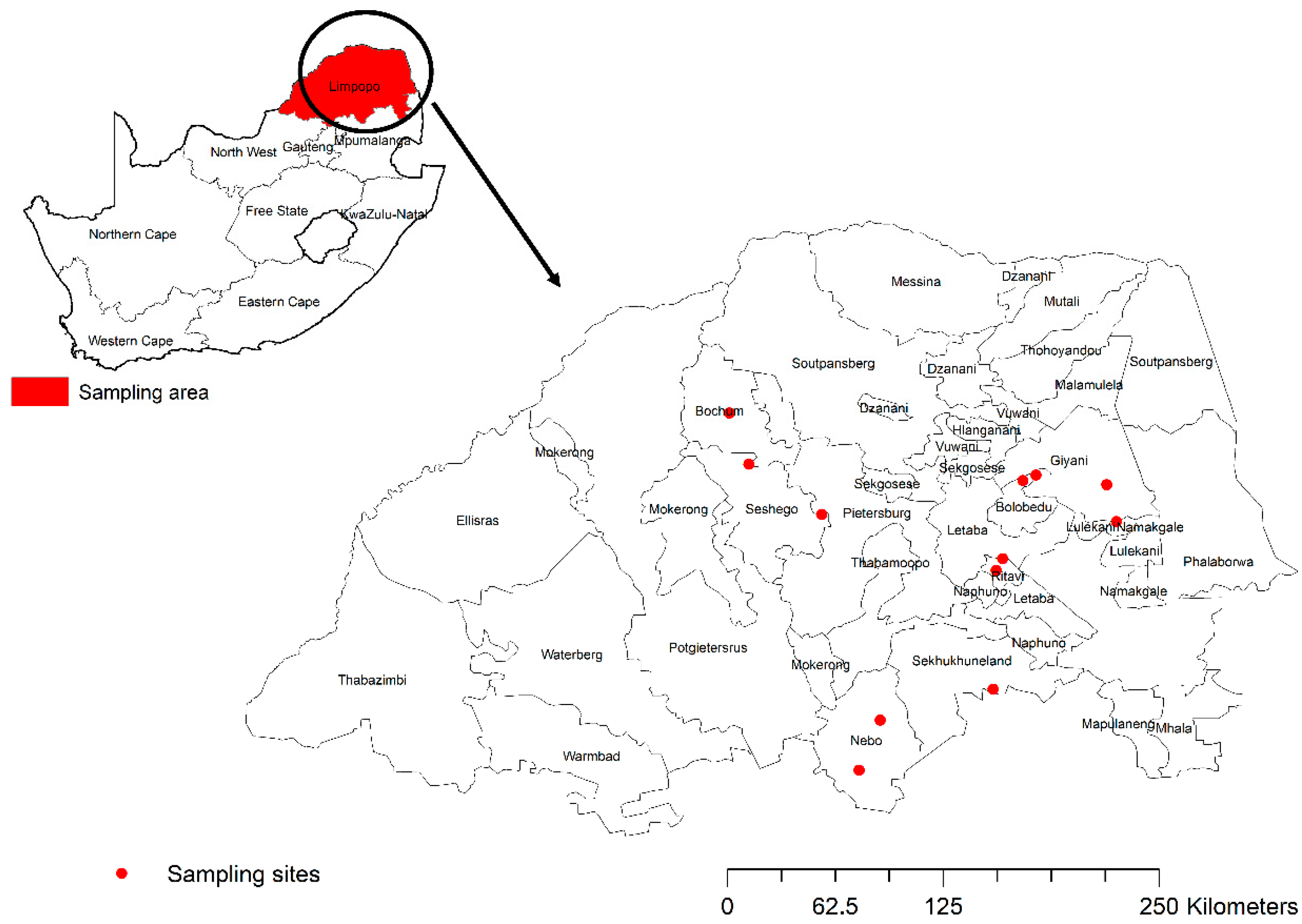 Vetsci 12 00942 g001 Vetsci 12 00942 g001