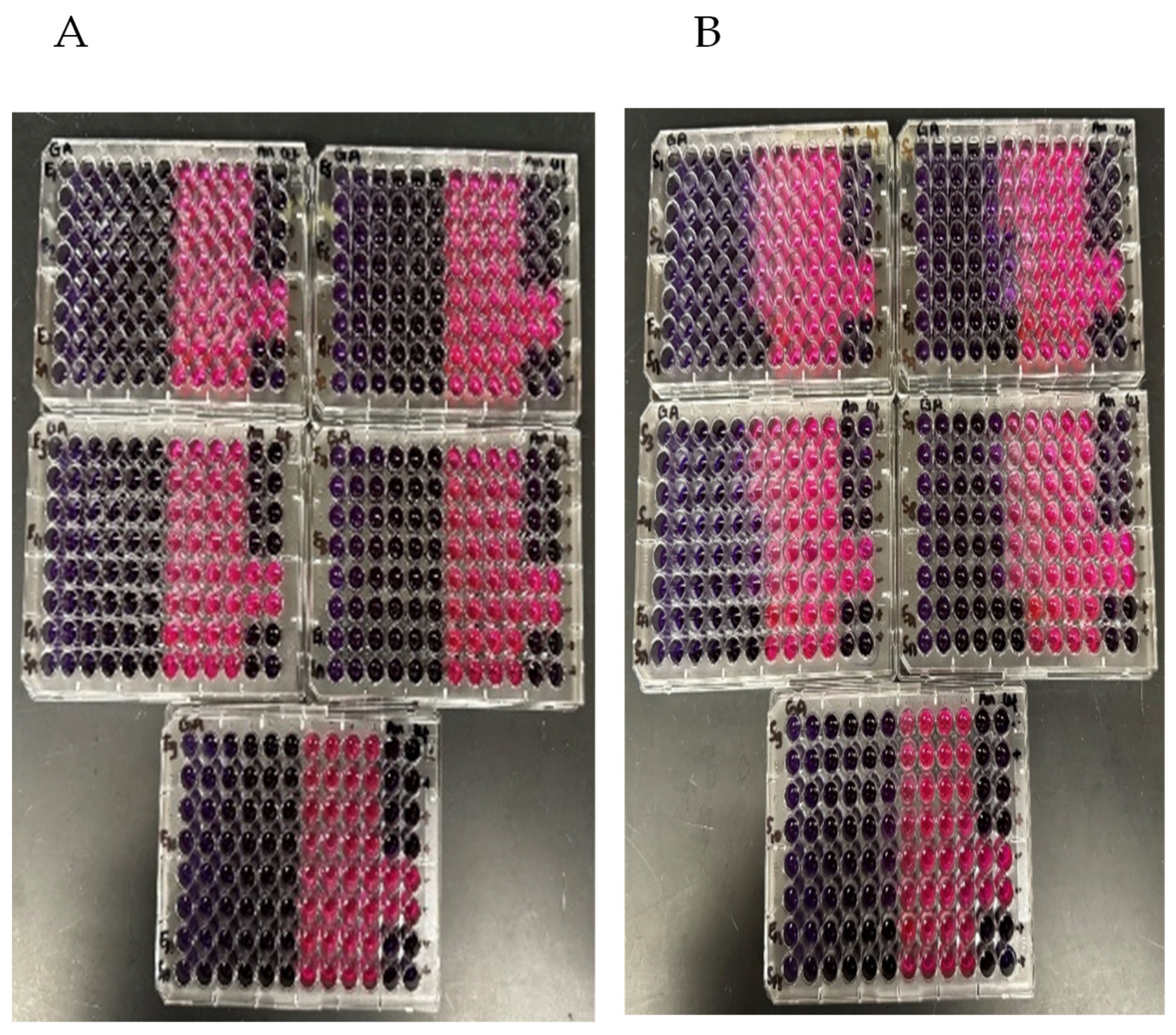Vetsci 12 00947 g001