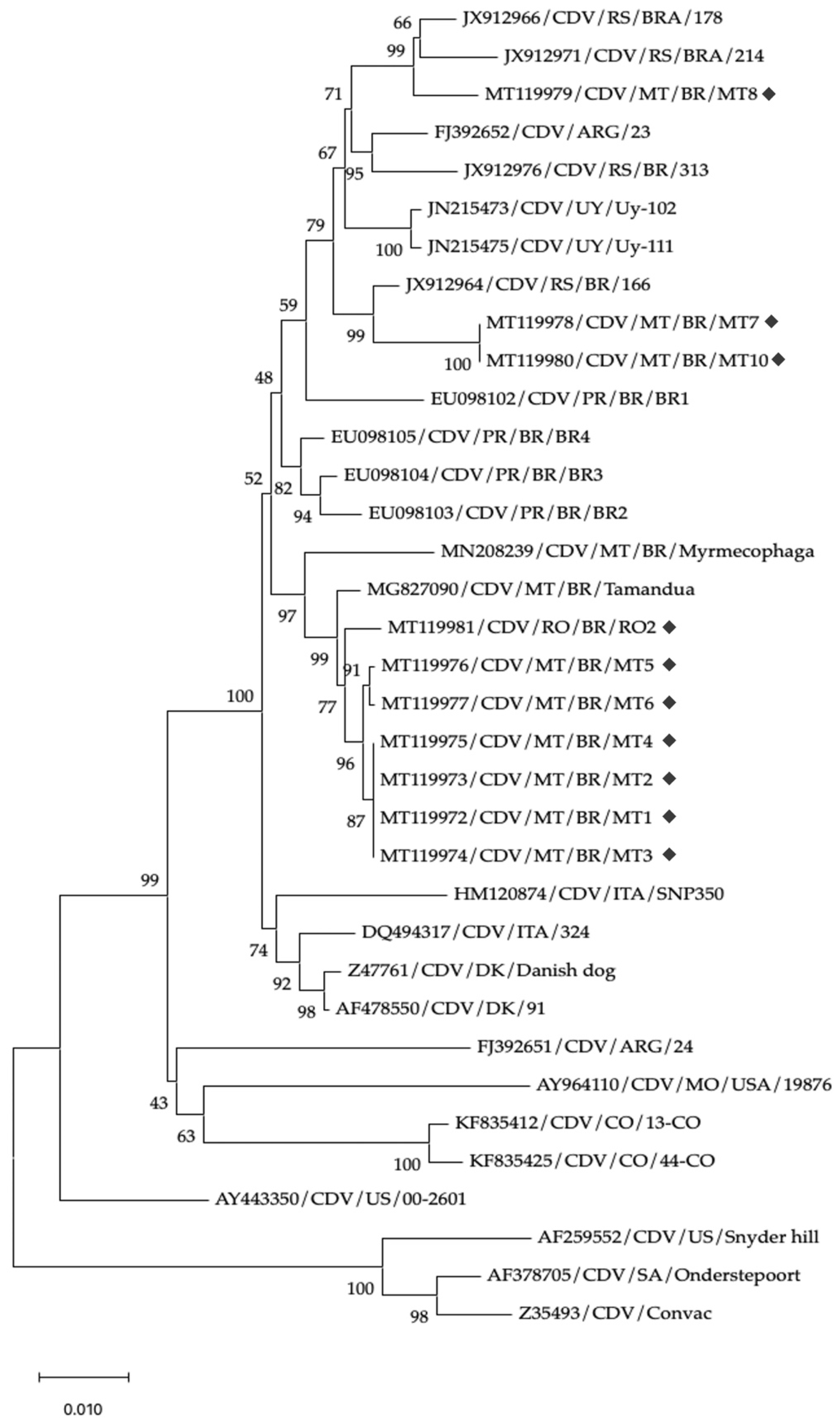 Vetsci 12 00948 g001 Vetsci 12 00948 g001