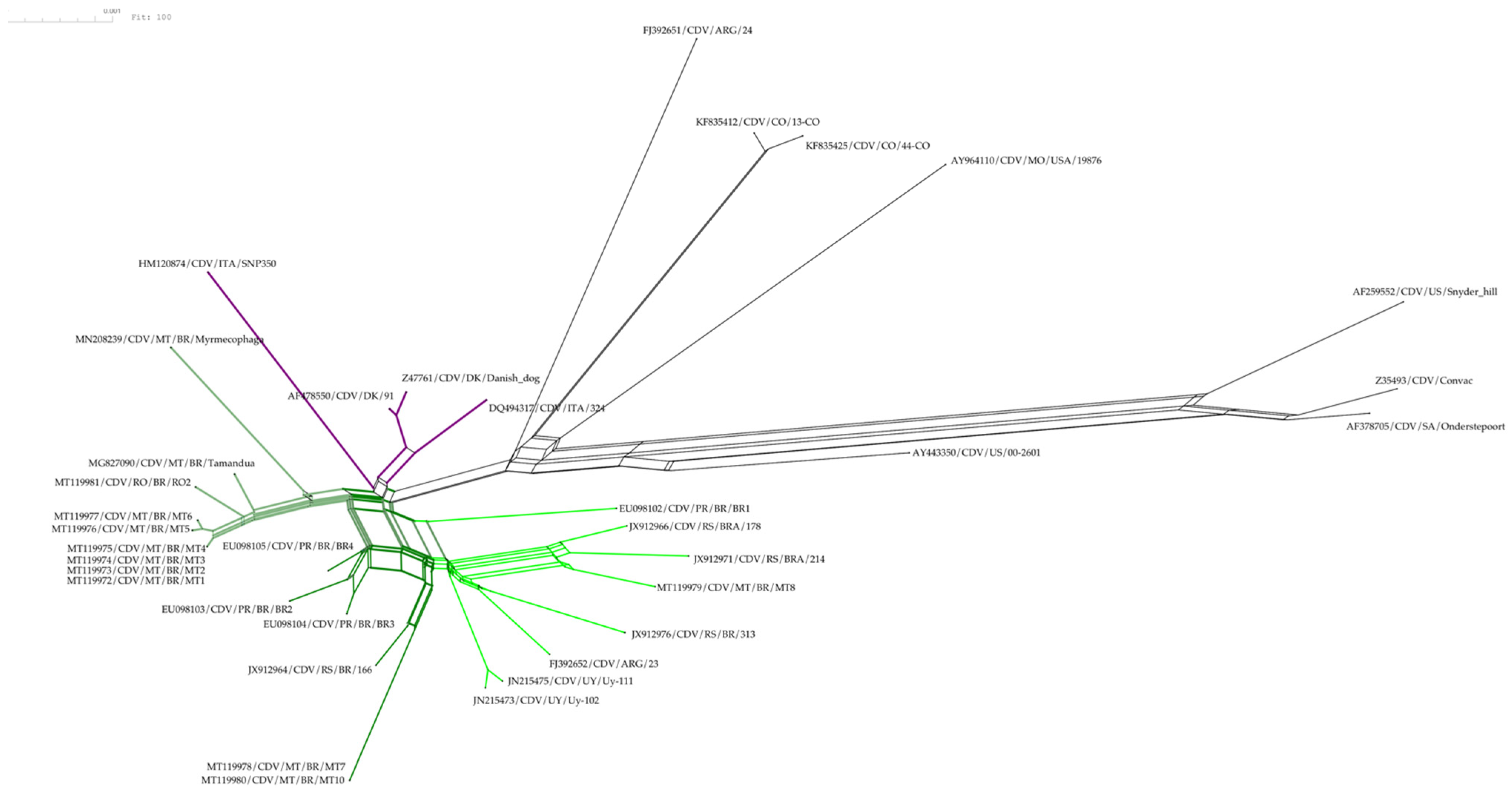 Vetsci 12 00948 g002 Vetsci 12 00948 g002