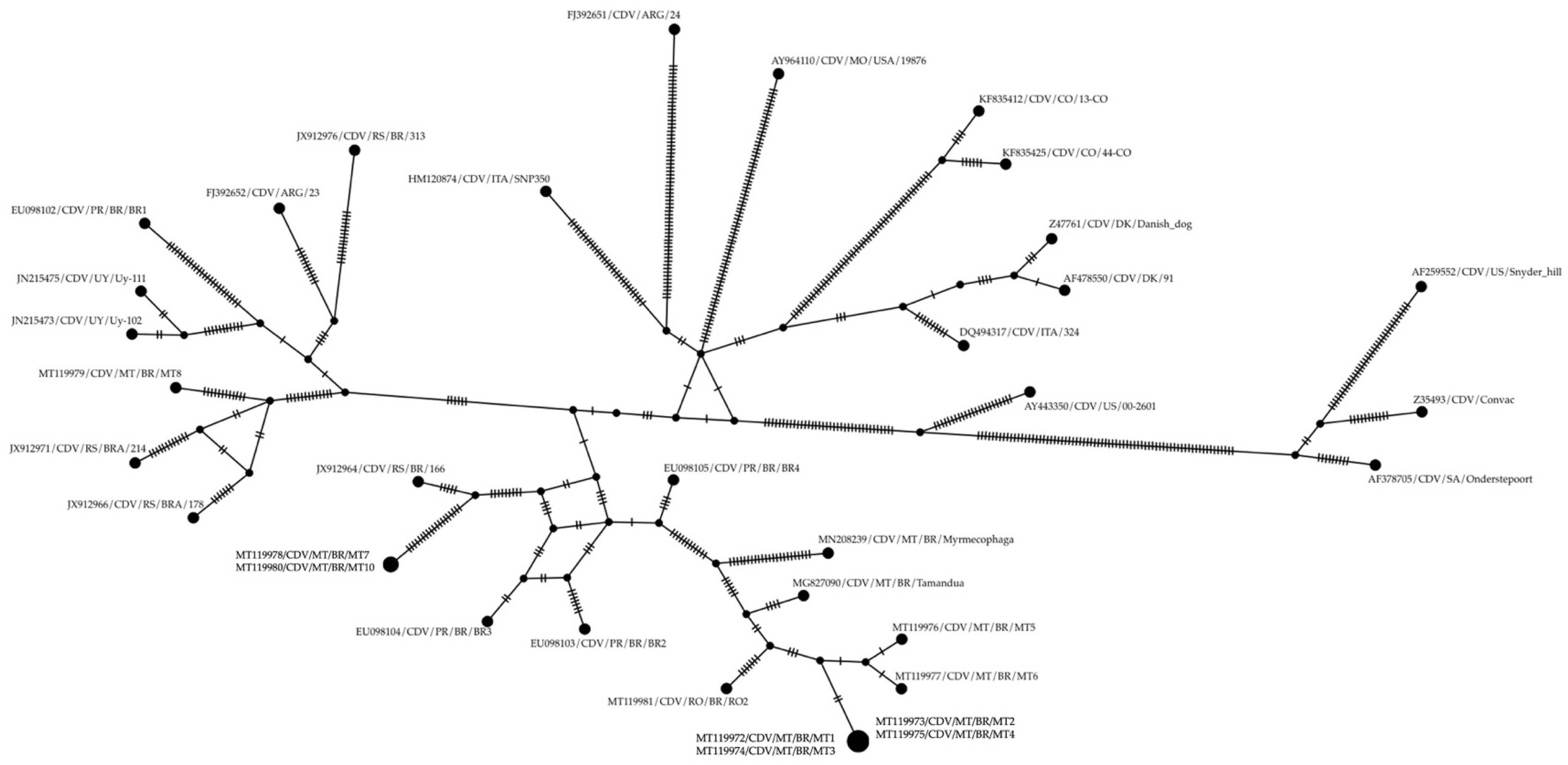 Vetsci 12 00948 g003 Vetsci 12 00948 g003