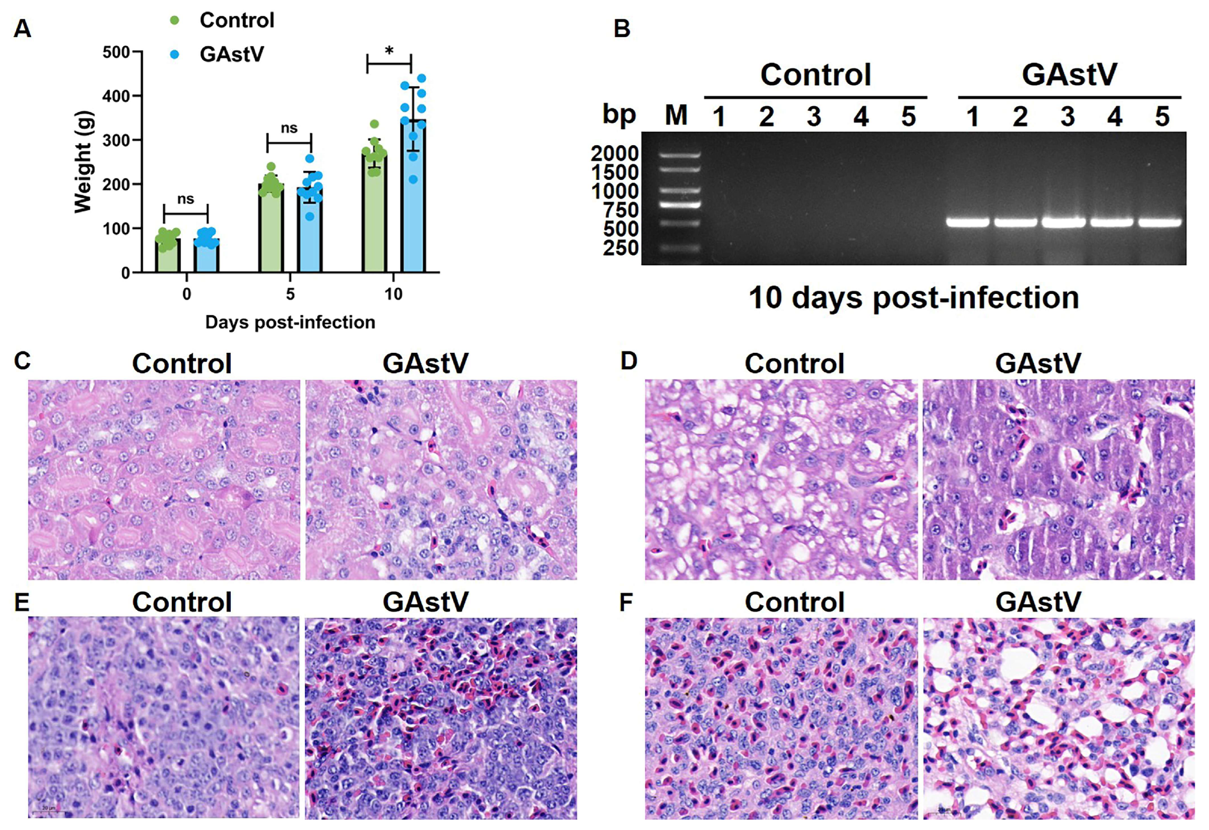 Vetsci 12 00951 g001 Vetsci 12 00951 g001
