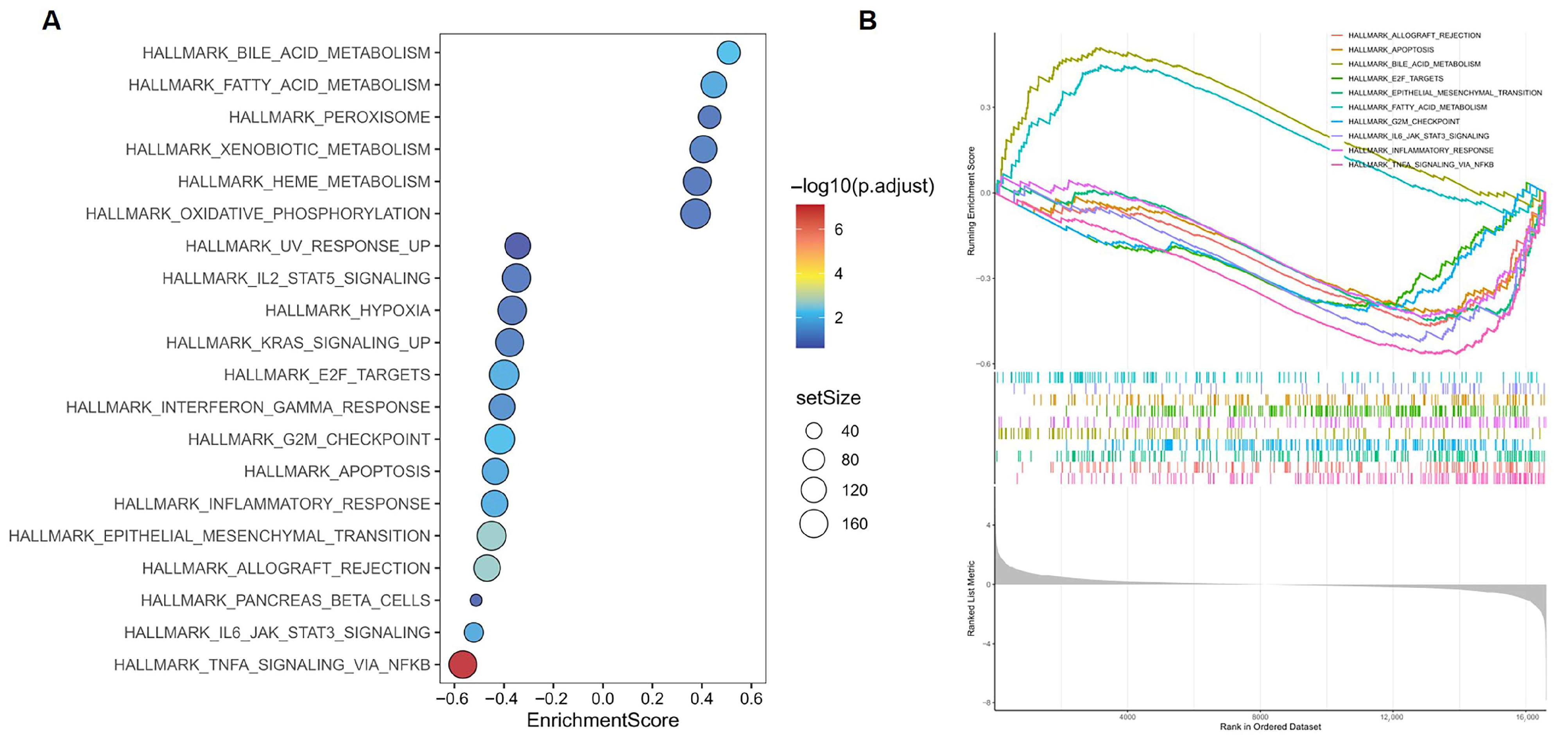 Vetsci 12 00951 g003 Vetsci 12 00951 g003