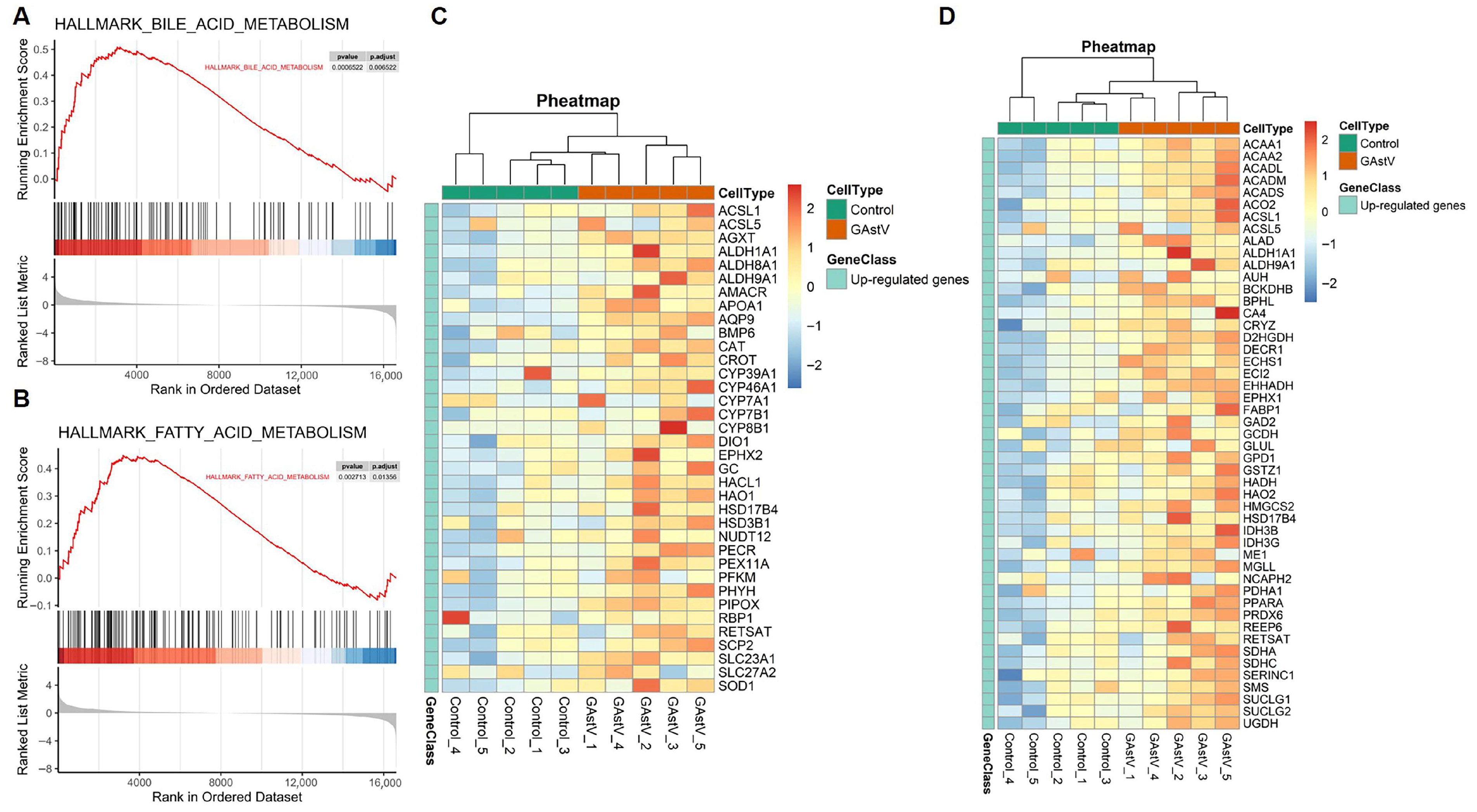 Vetsci 12 00951 g004 Vetsci 12 00951 g004