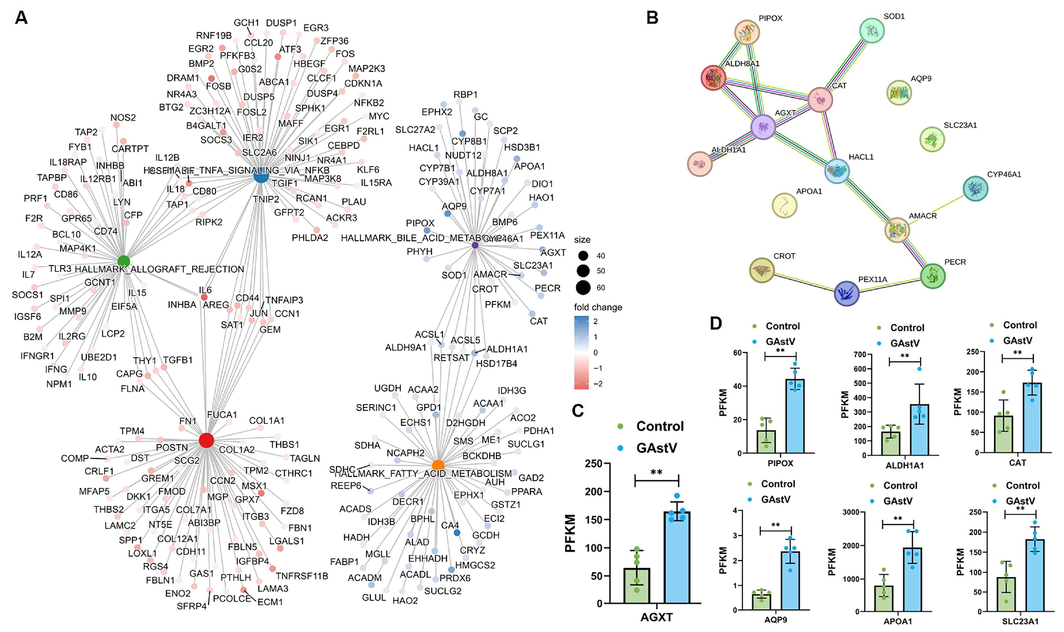 Vetsci 12 00951 g005 Vetsci 12 00951 g005
