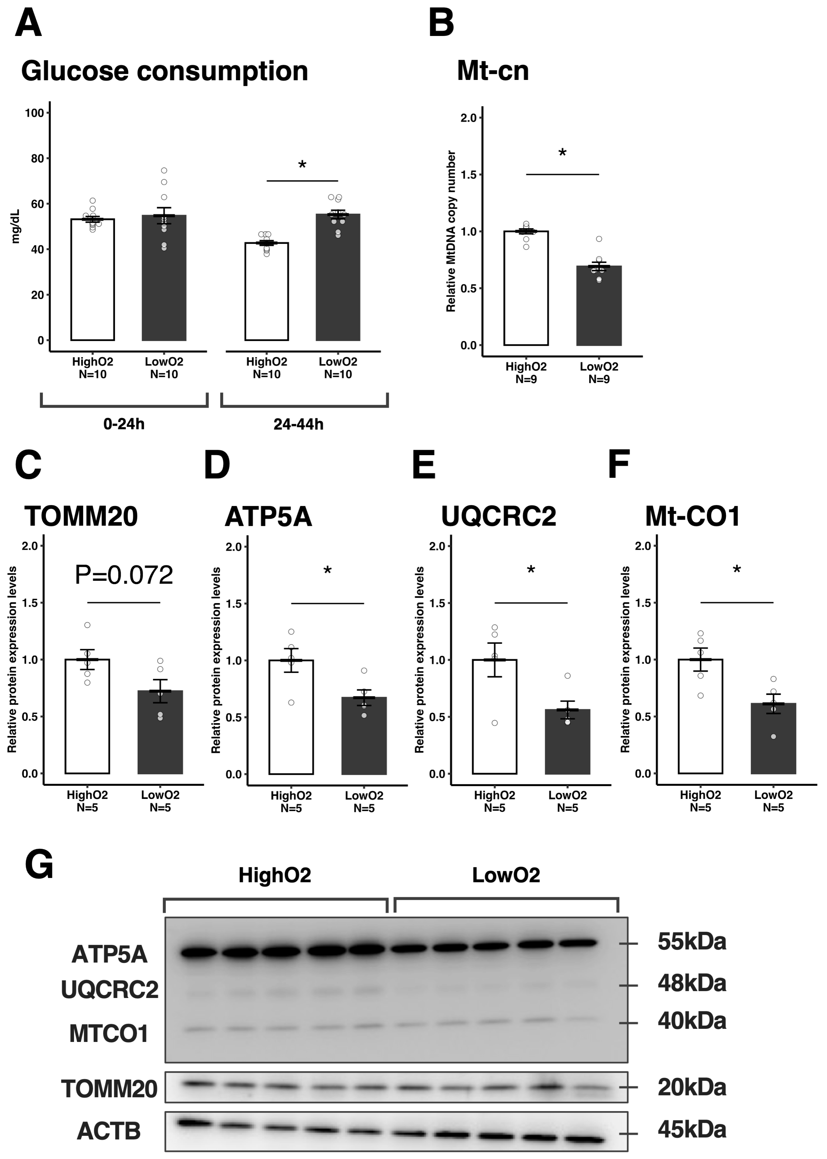 Vetsci 12 00954 g003