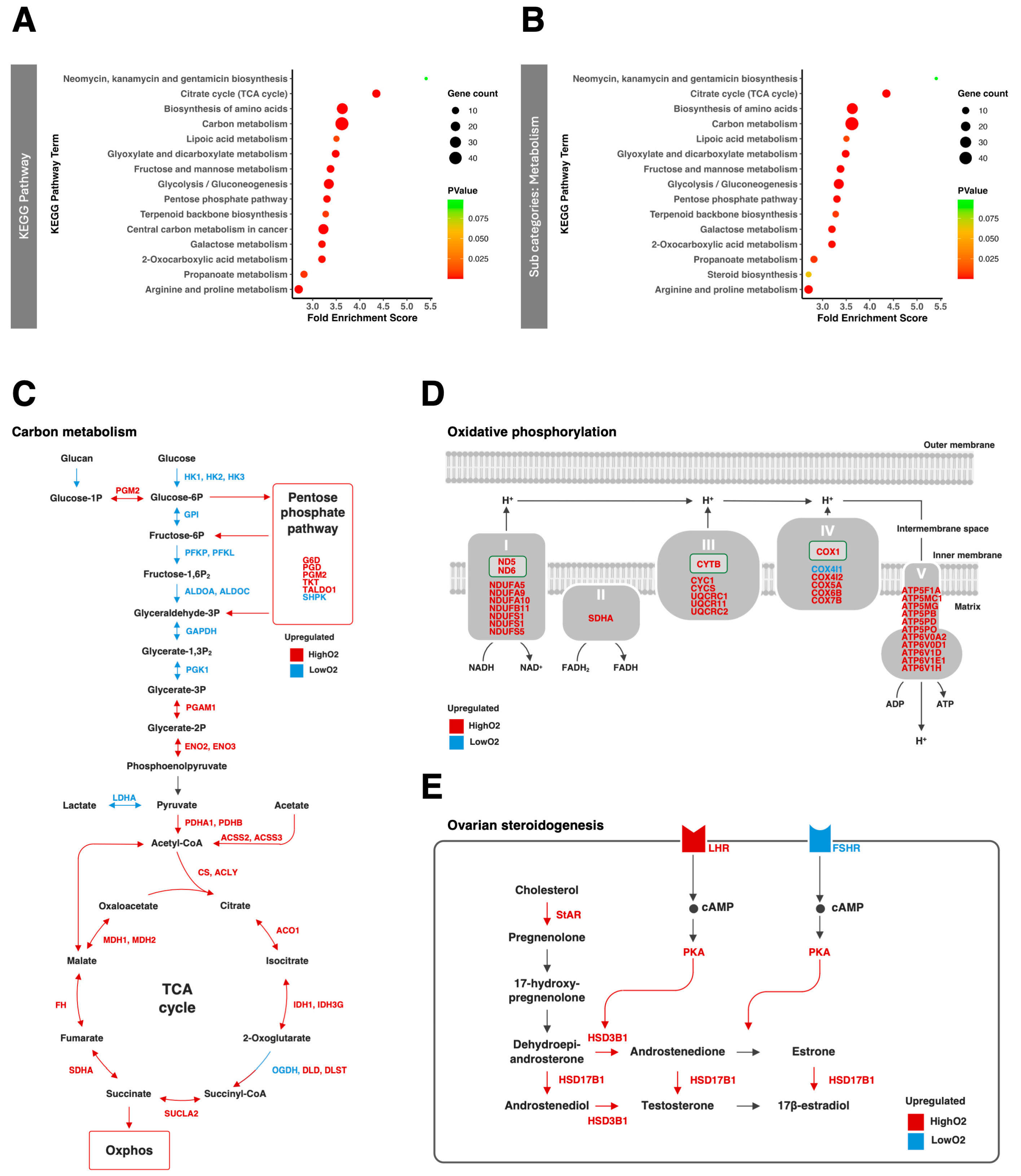 Vetsci 12 00954 g004