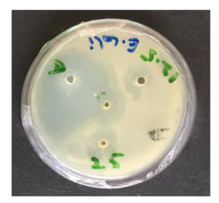 Vetsci 12 00957 g001 Vetsci 12 00957 g001