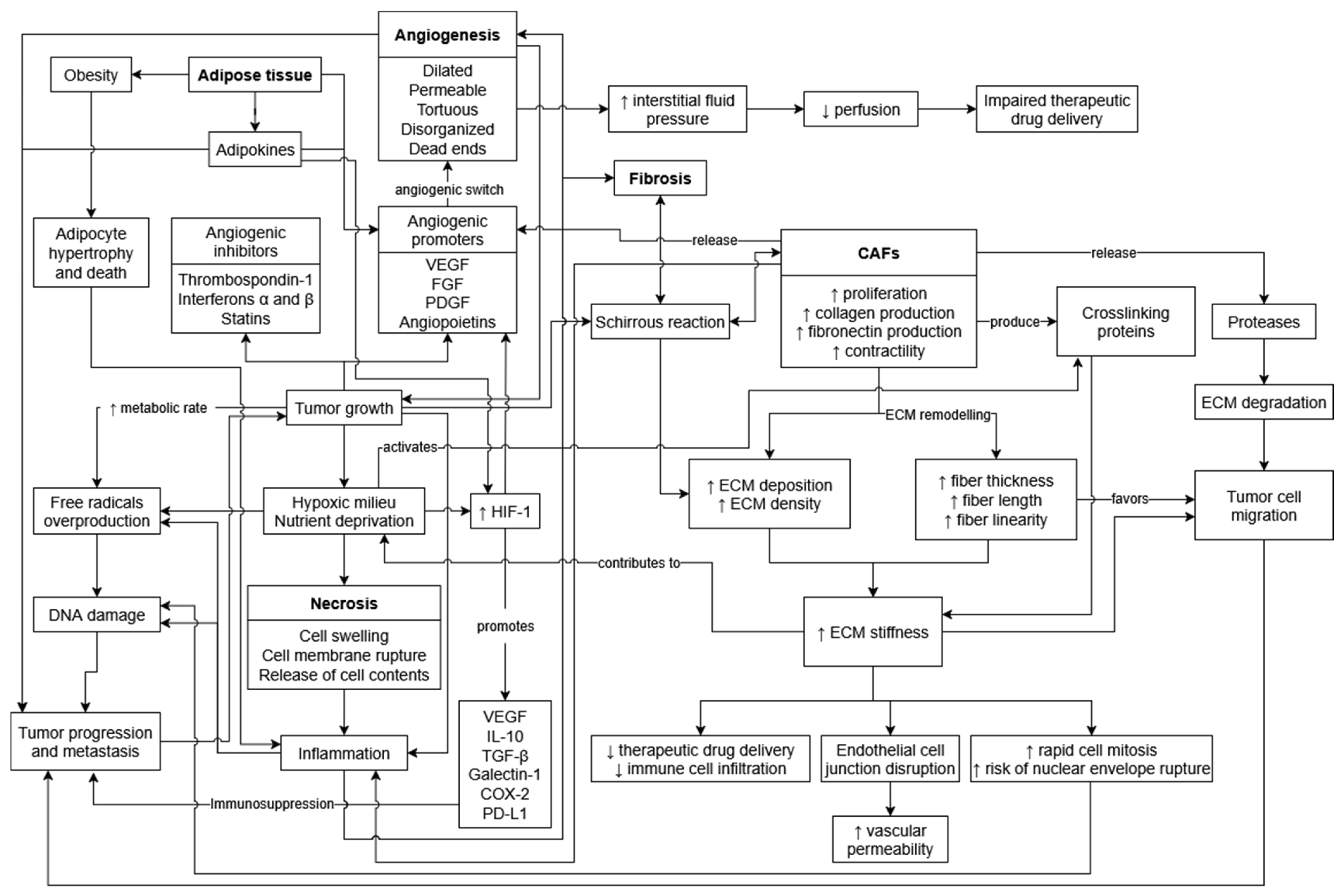 Vetsci 12 00959 g001