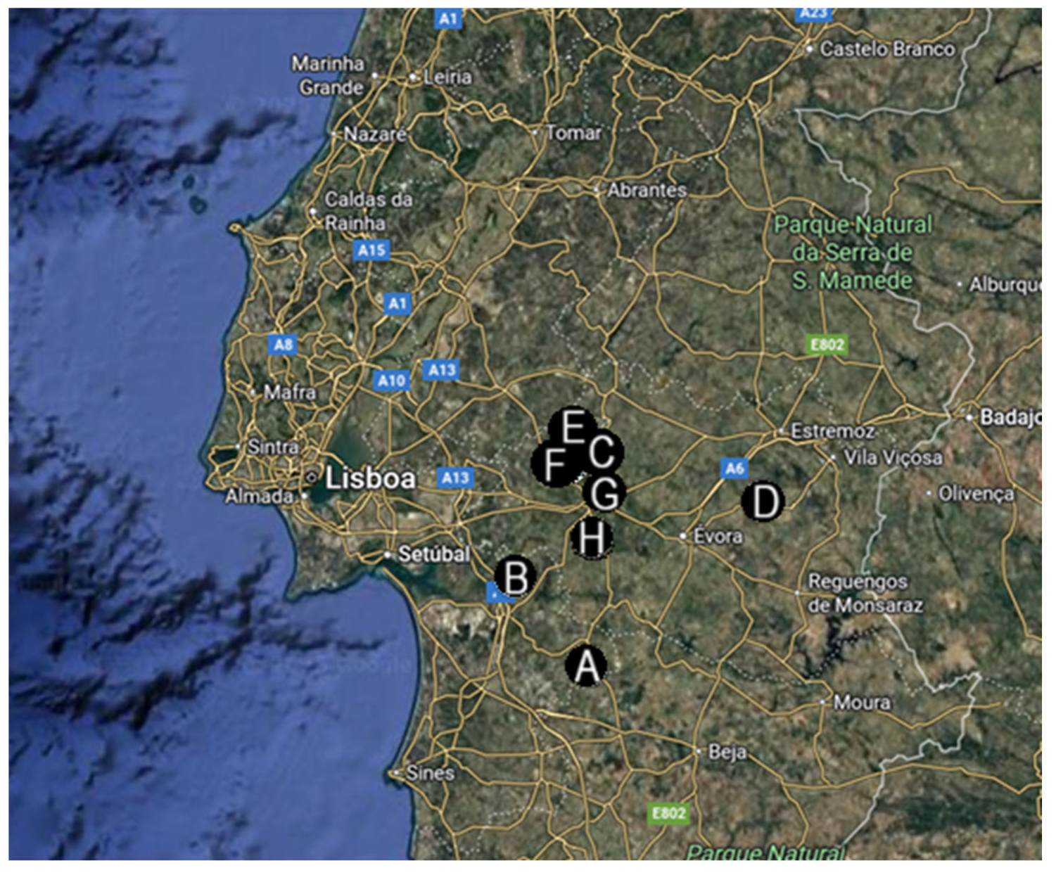 Vetsci 12 00970 g001