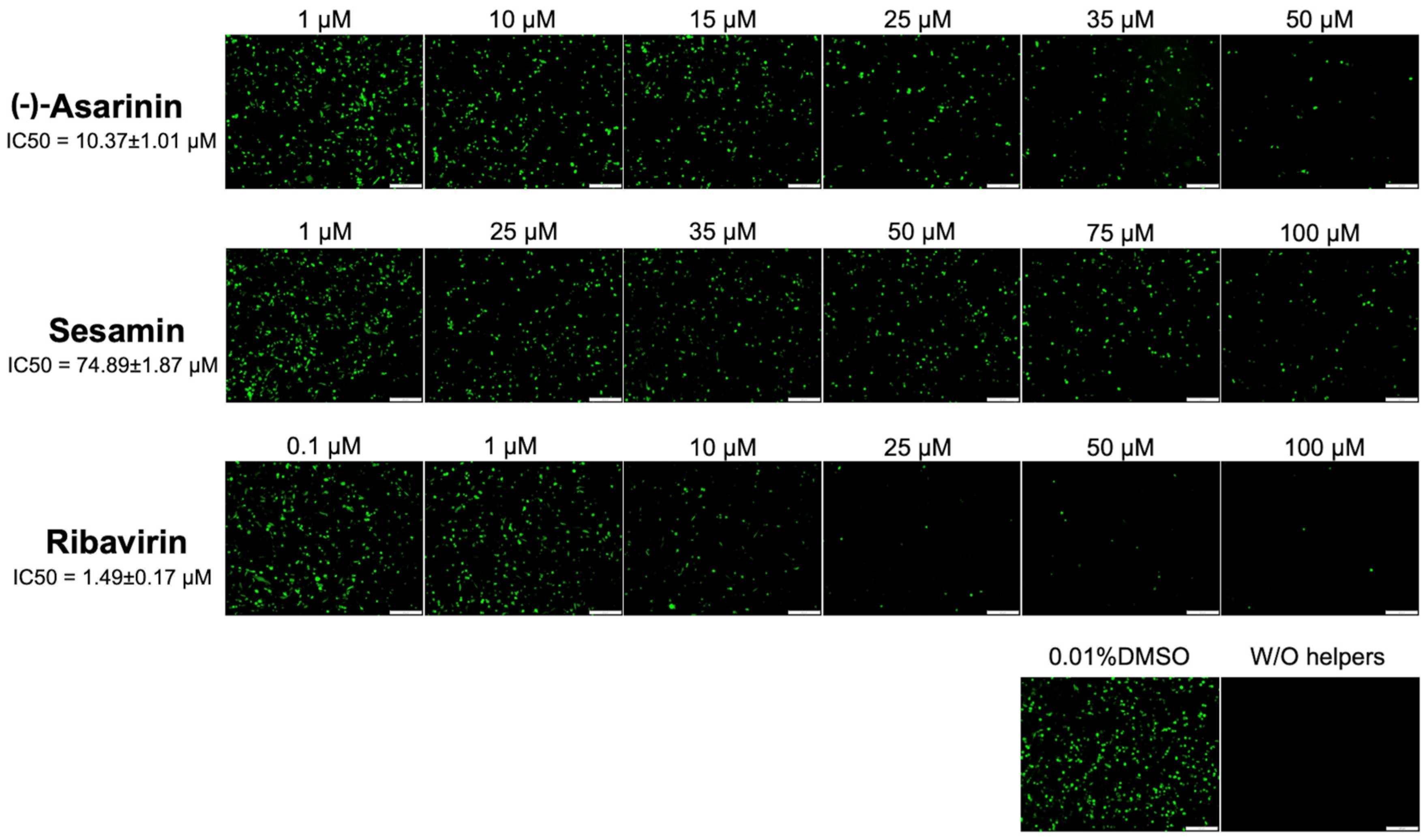 Vetsci 12 00971 g005 Vetsci 12 00971 g005
