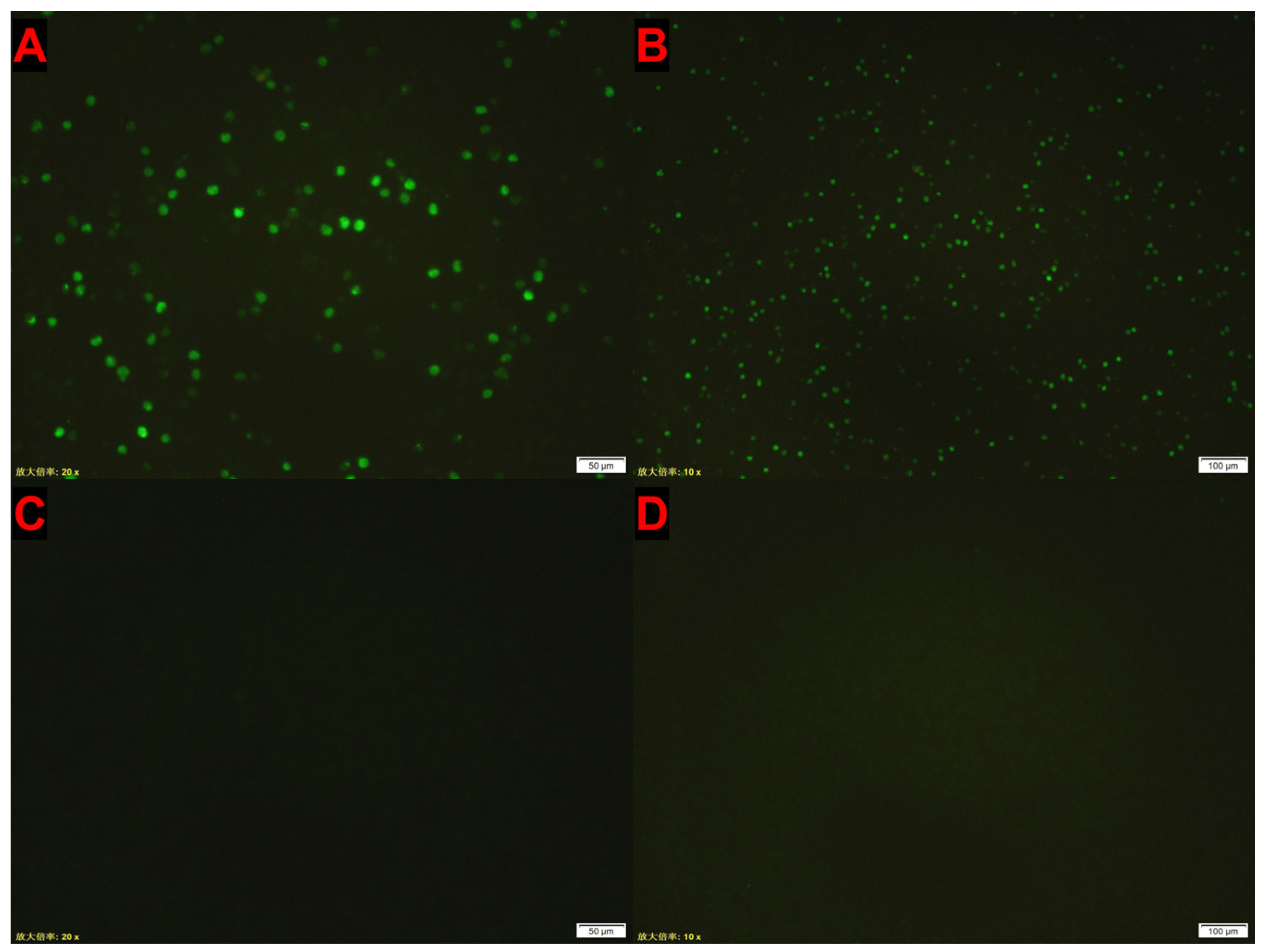 Vetsci 12 00972 g003