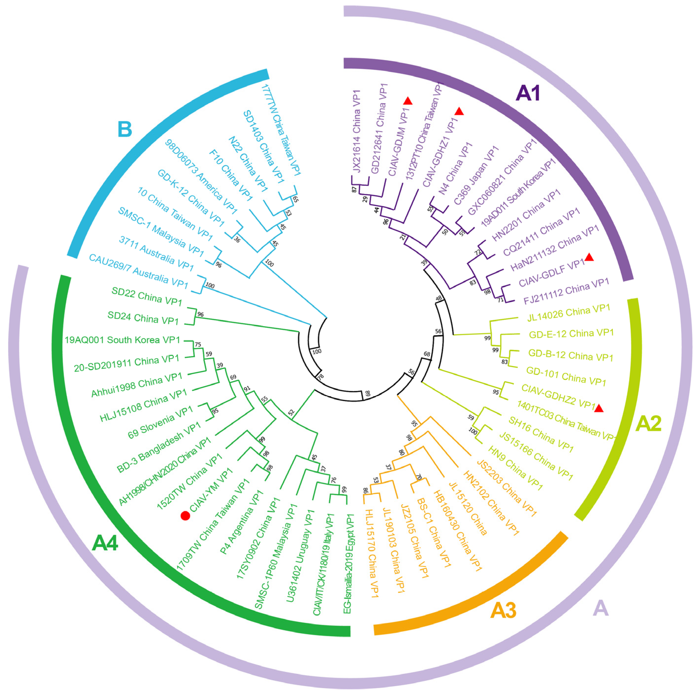 Vetsci 12 00972 g004