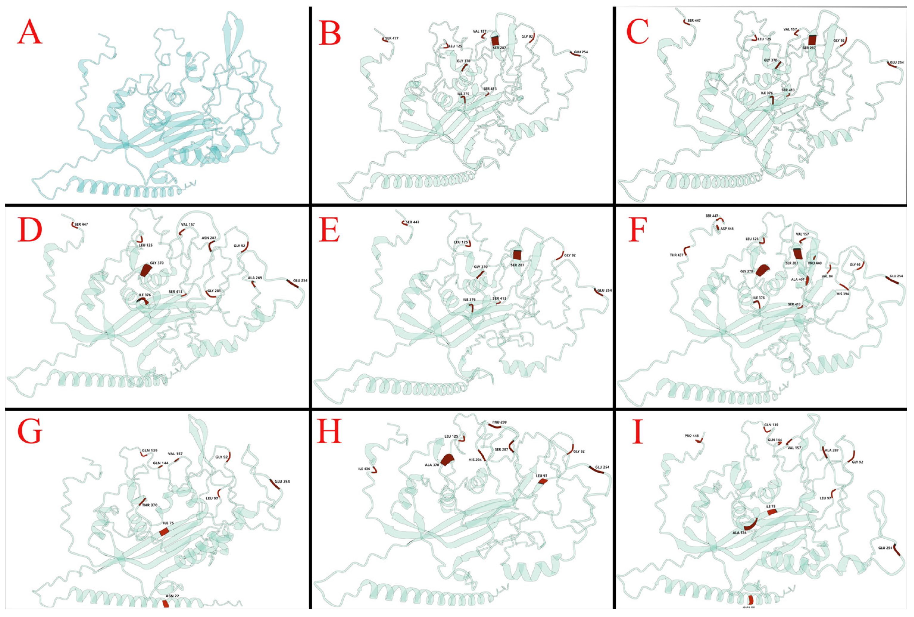 Vetsci 12 00972 g005