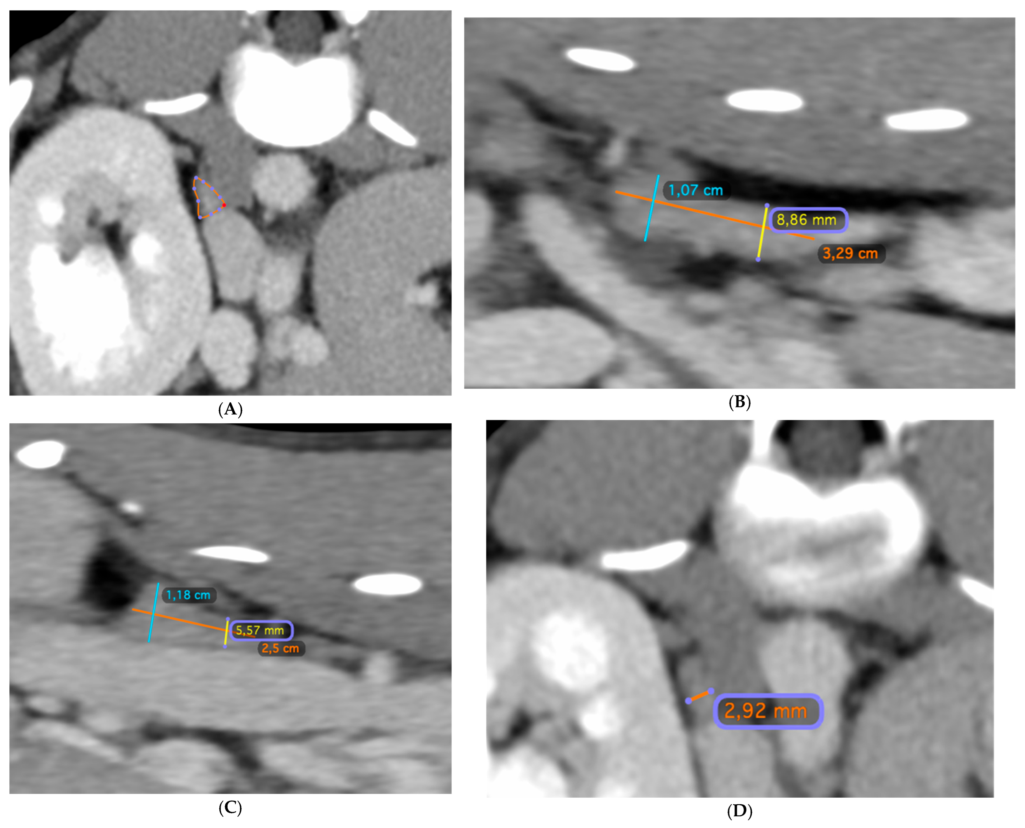 Vetsci 12 00974 g001 Vetsci 12 00974 g001