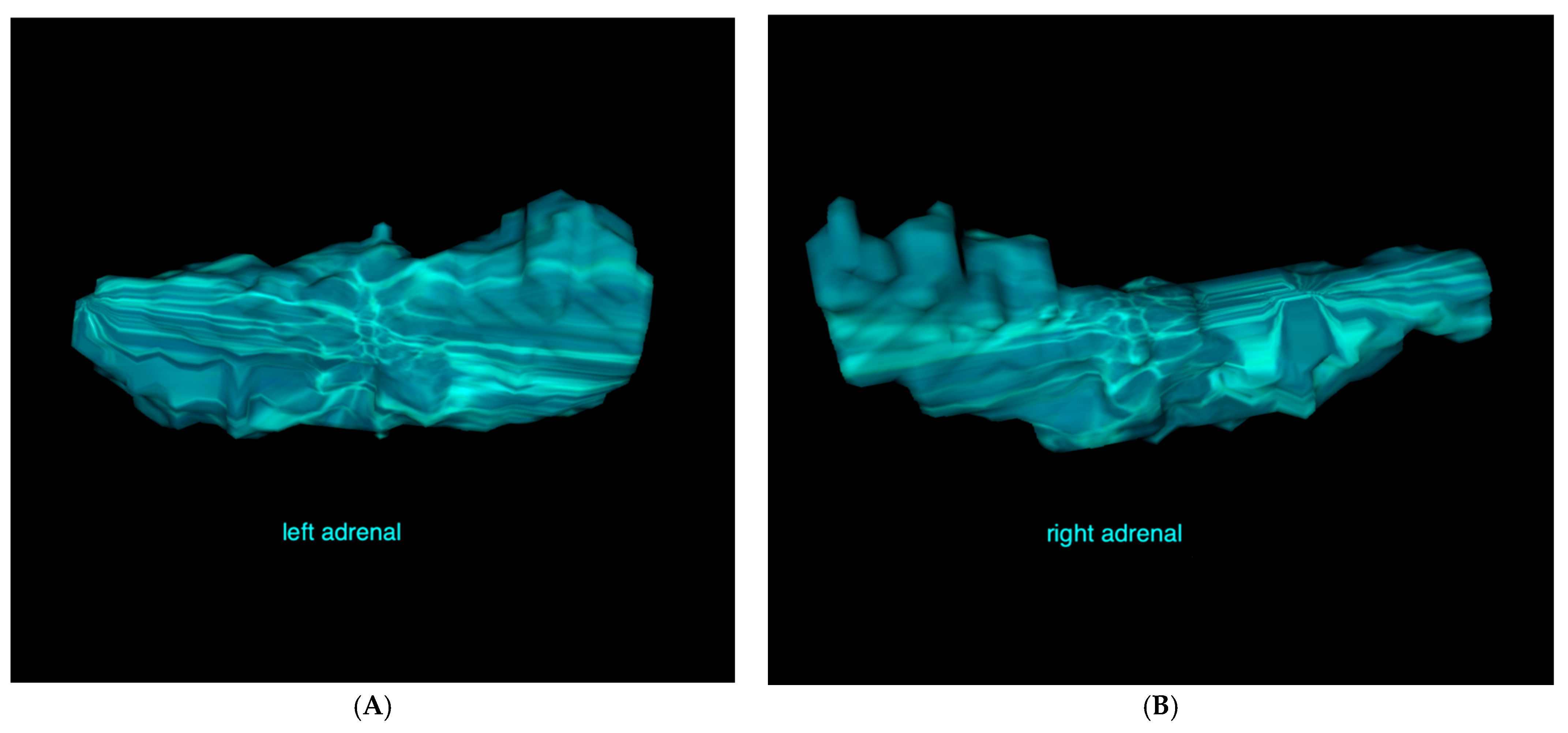 Vetsci 12 00974 g002 Vetsci 12 00974 g002