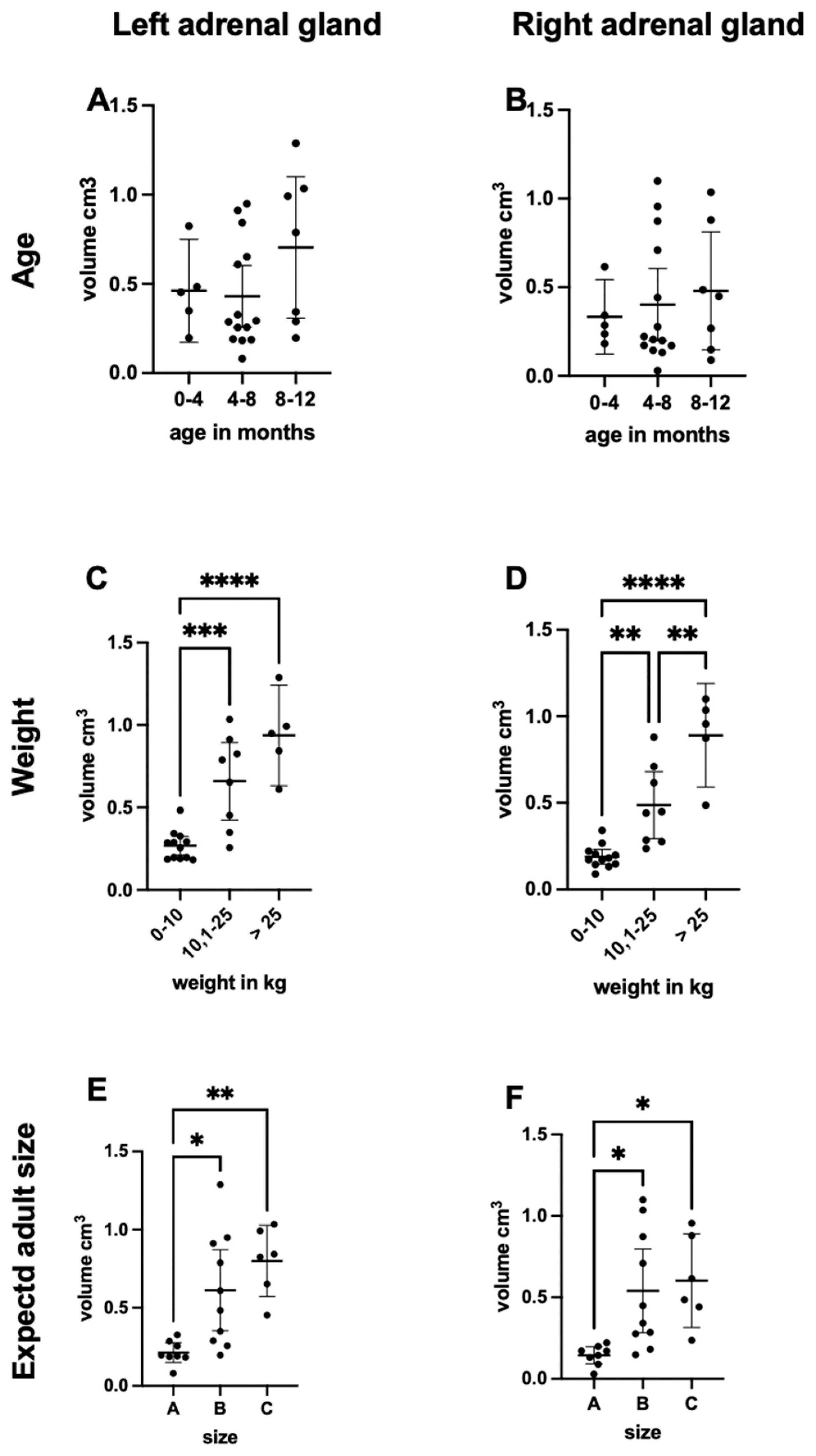 Vetsci 12 00974 g004 Vetsci 12 00974 g004