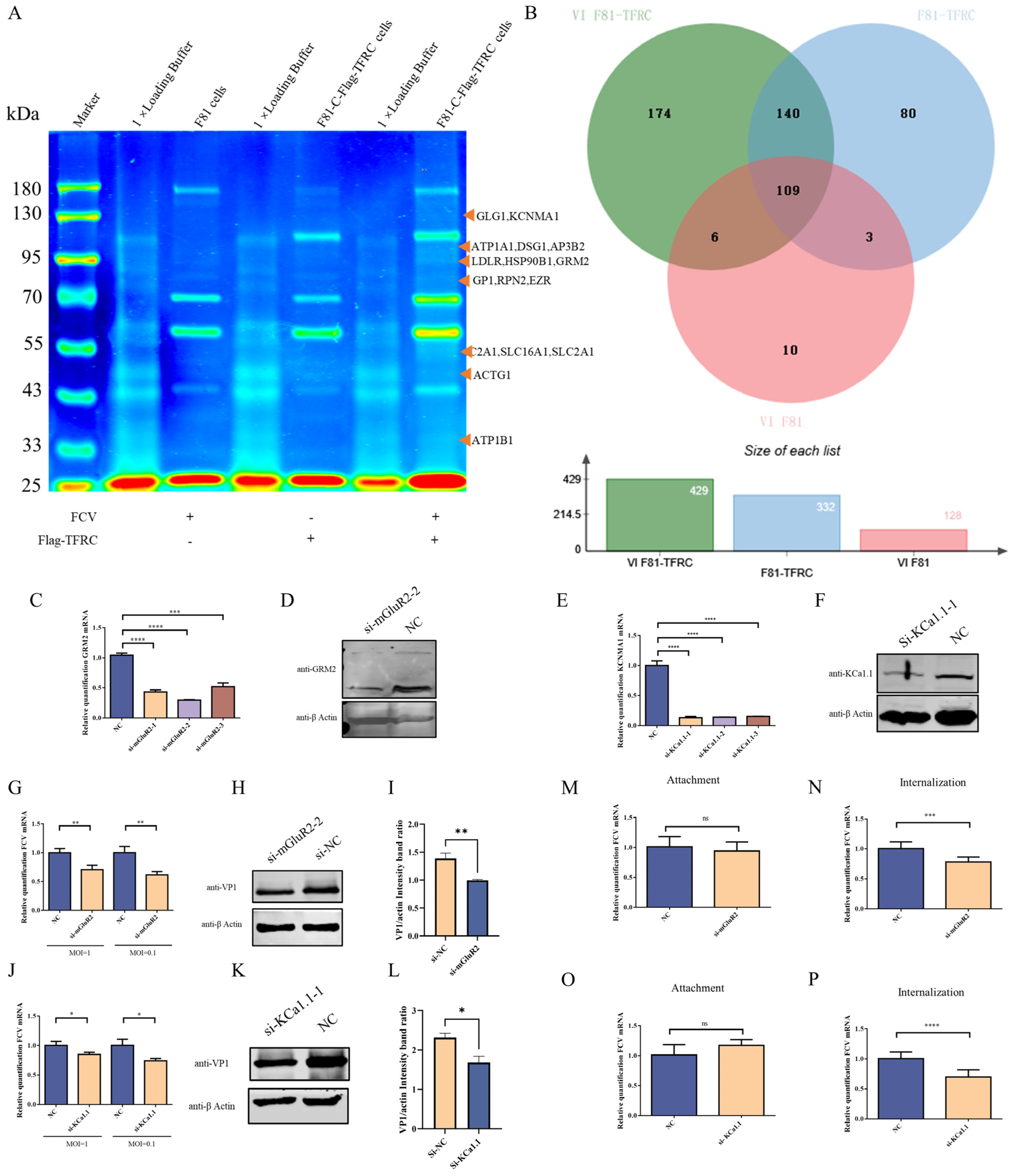 Vetsci 12 00980 g001