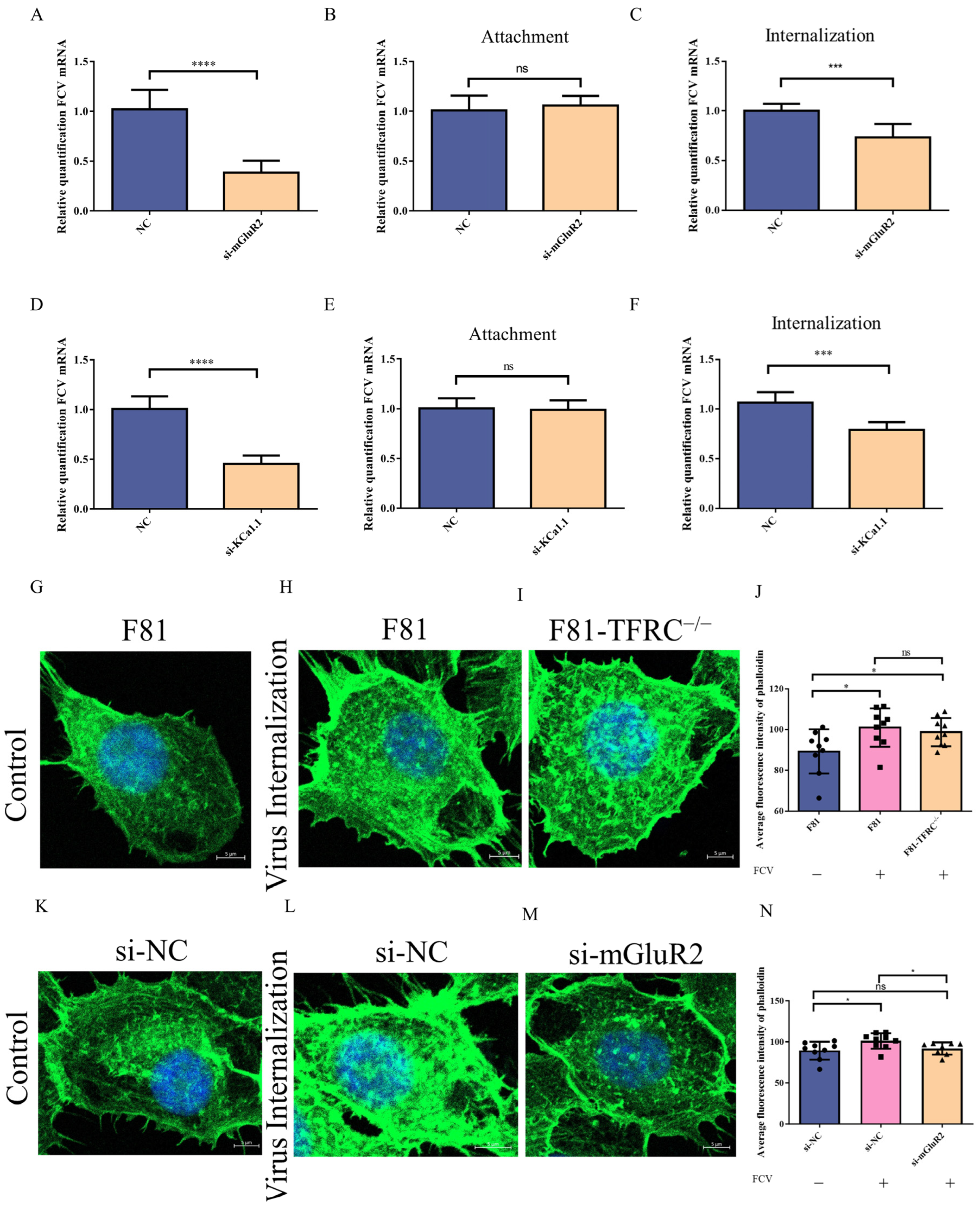Vetsci 12 00980 g003