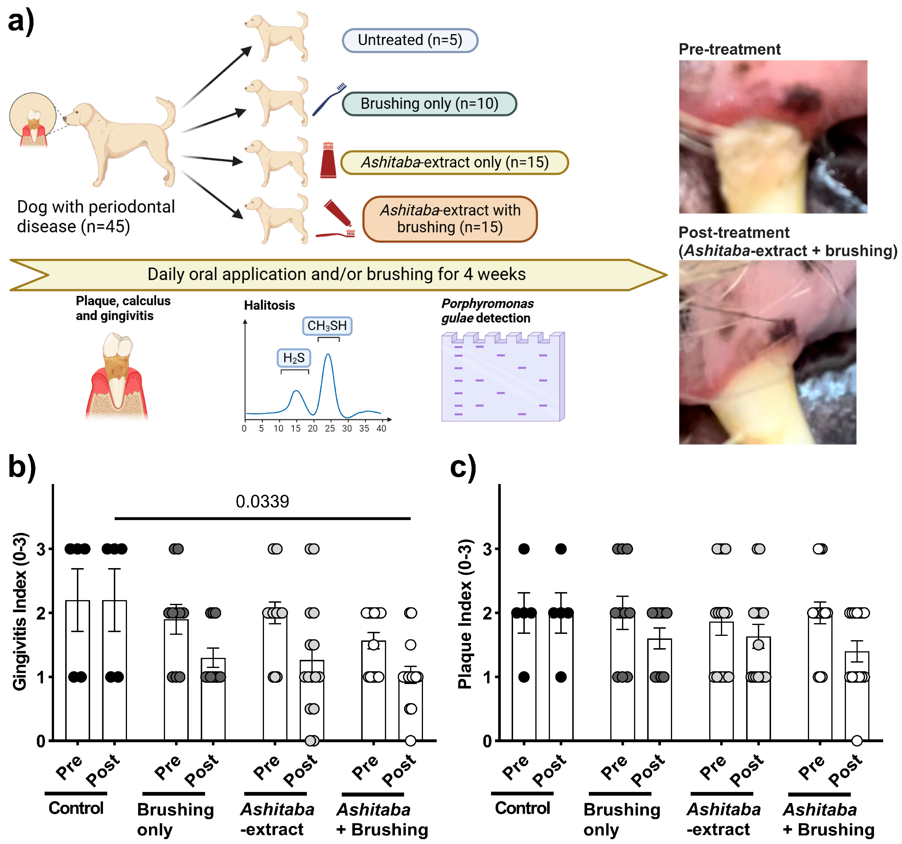 Vetsci 12 00981 g004 Vetsci 12 00981 g004