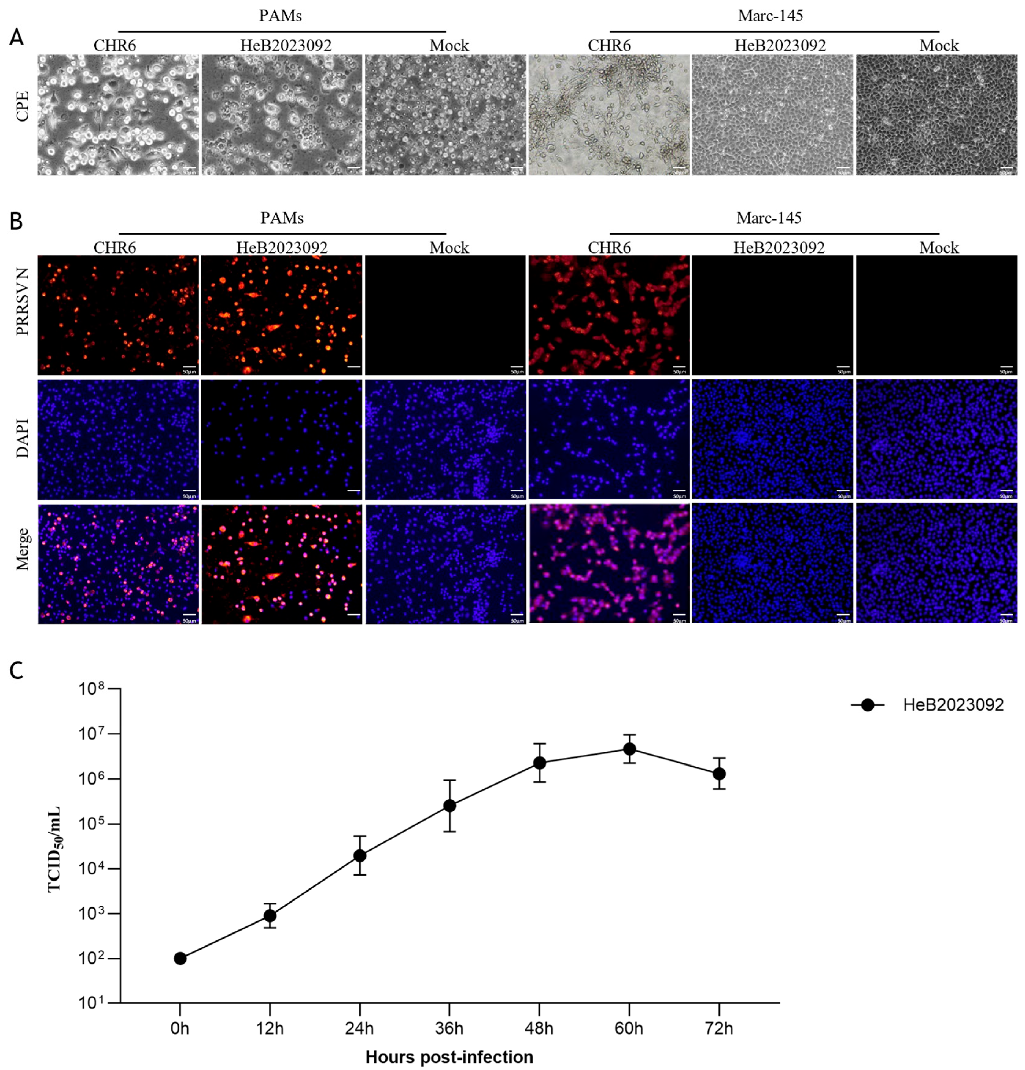 Vetsci 12 00983 g001 Vetsci 12 00983 g001