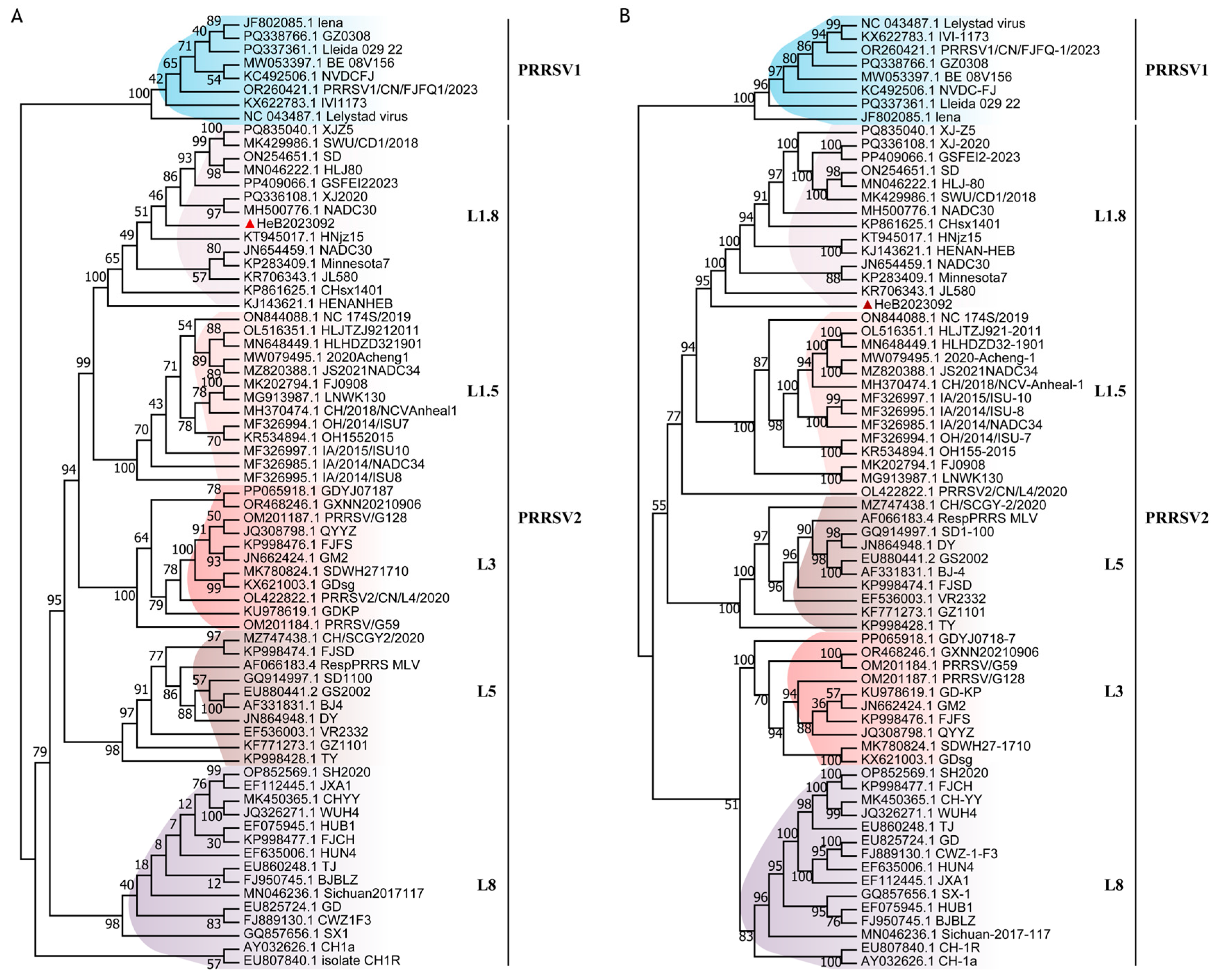 Vetsci 12 00983 g002 Vetsci 12 00983 g002
