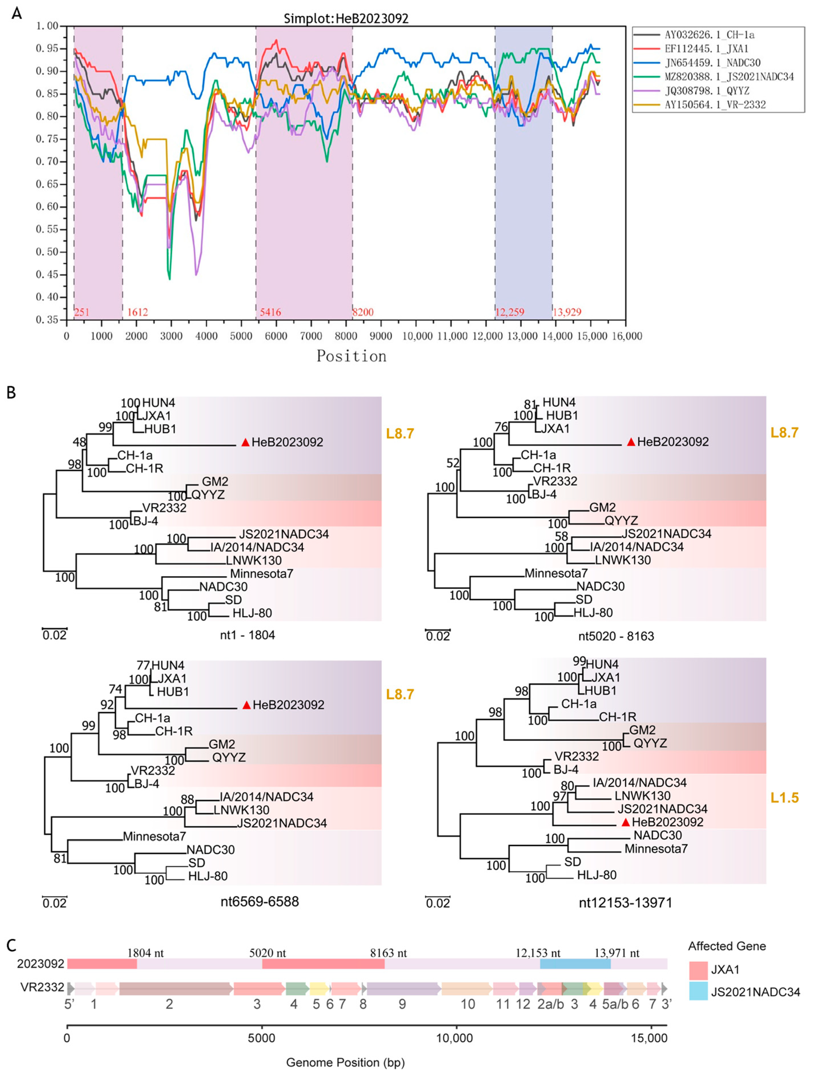 Vetsci 12 00983 g008 Vetsci 12 00983 g008