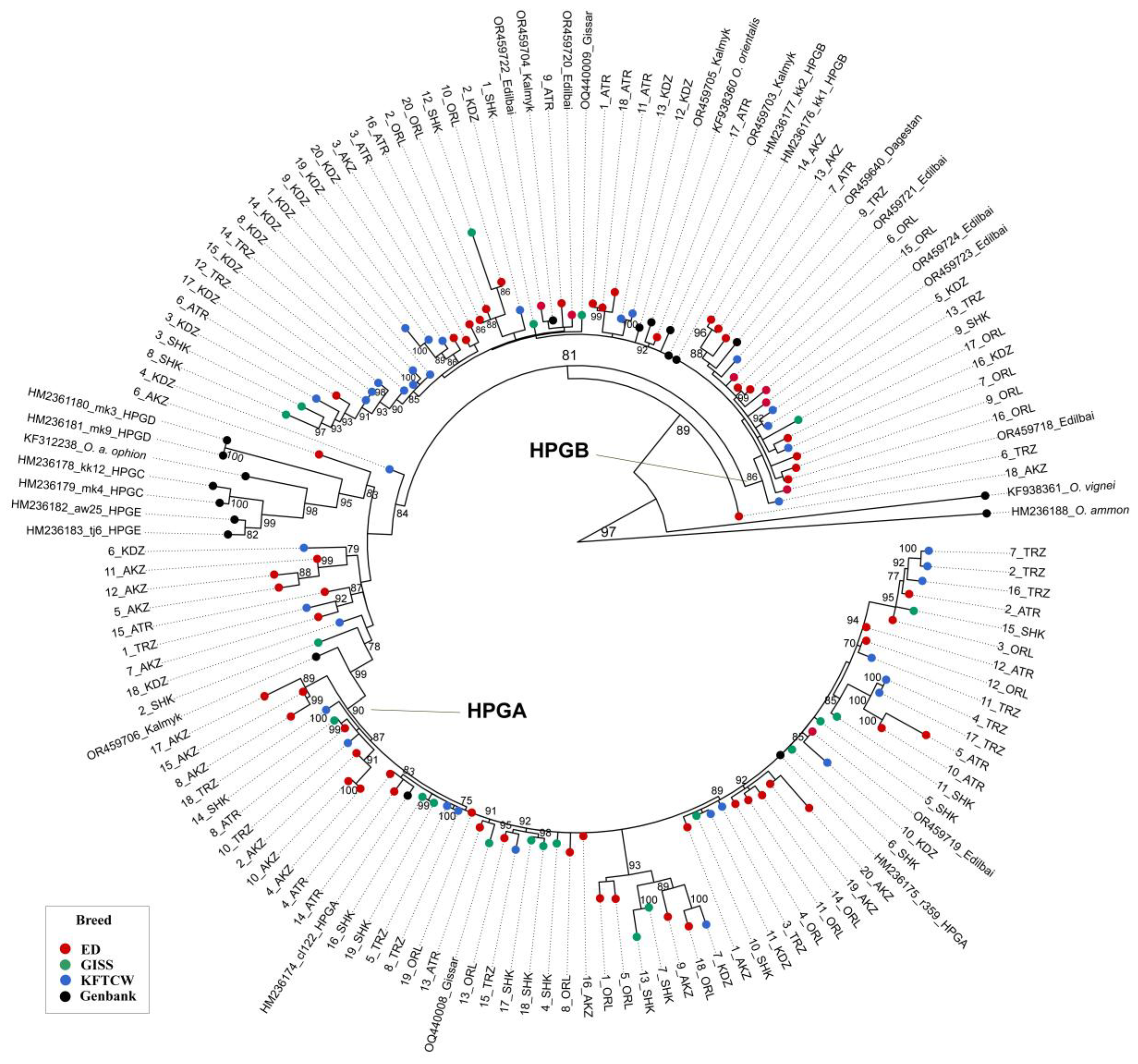 Vetsci 12 00988 g005 Vetsci 12 00988 g005