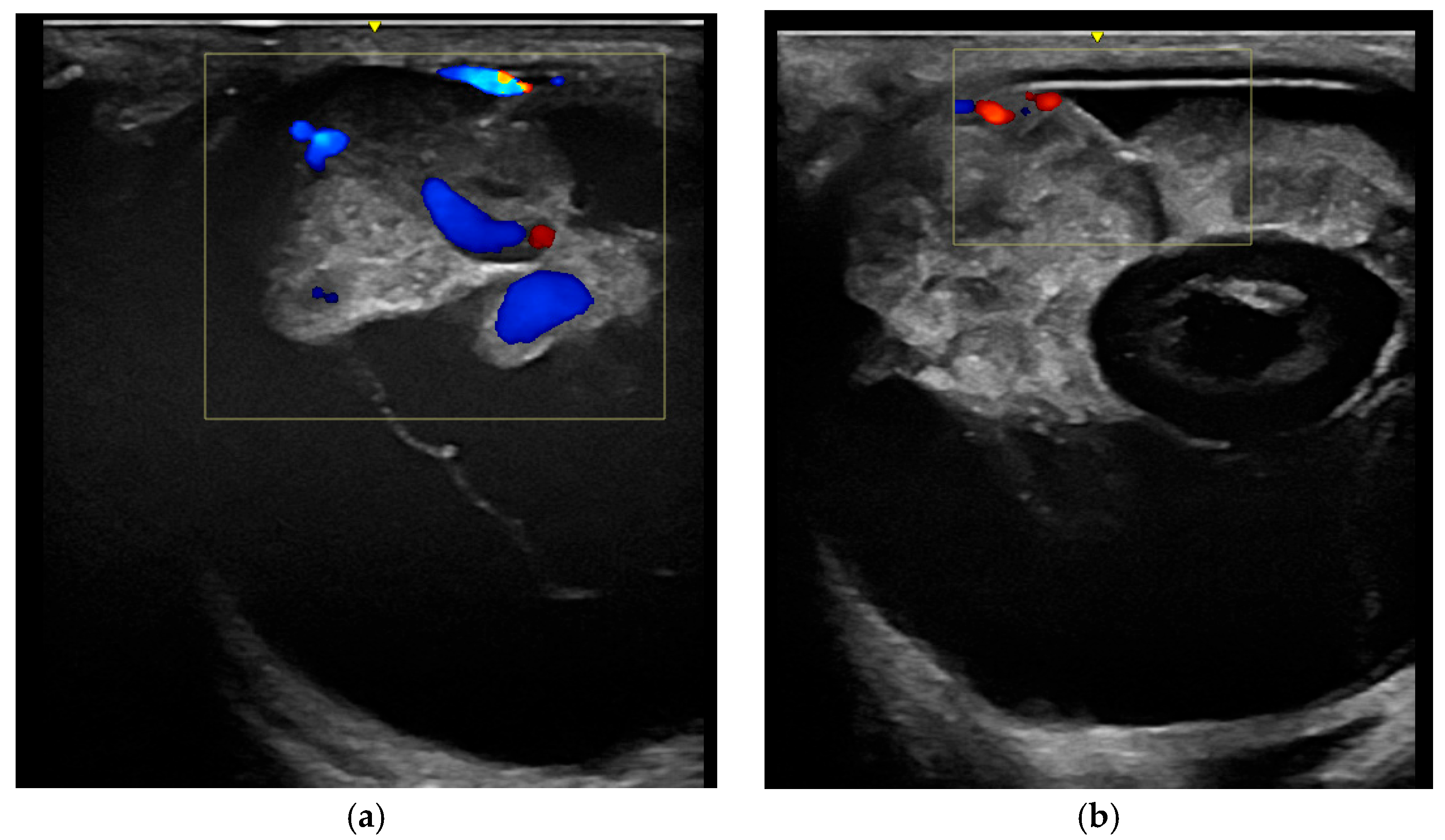 Vetsci 12 01006 g004