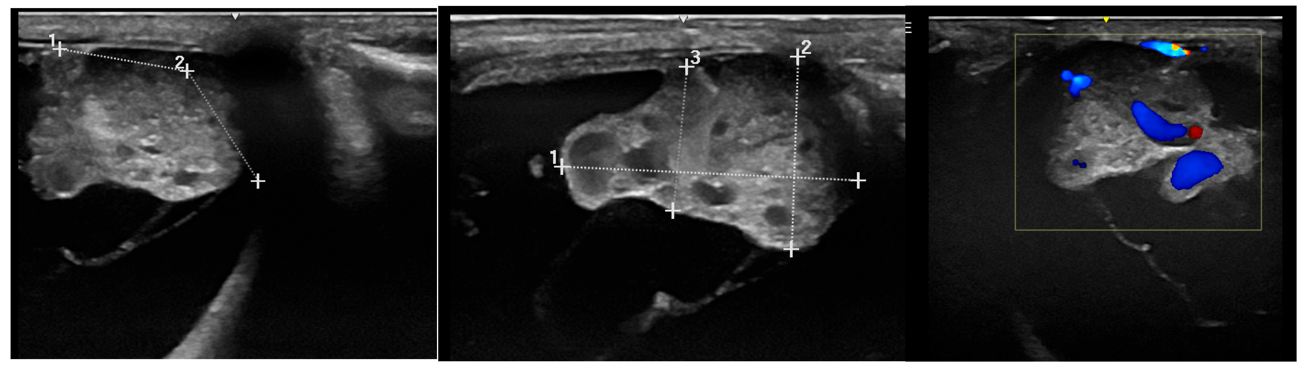 Vetsci 12 01006 g009