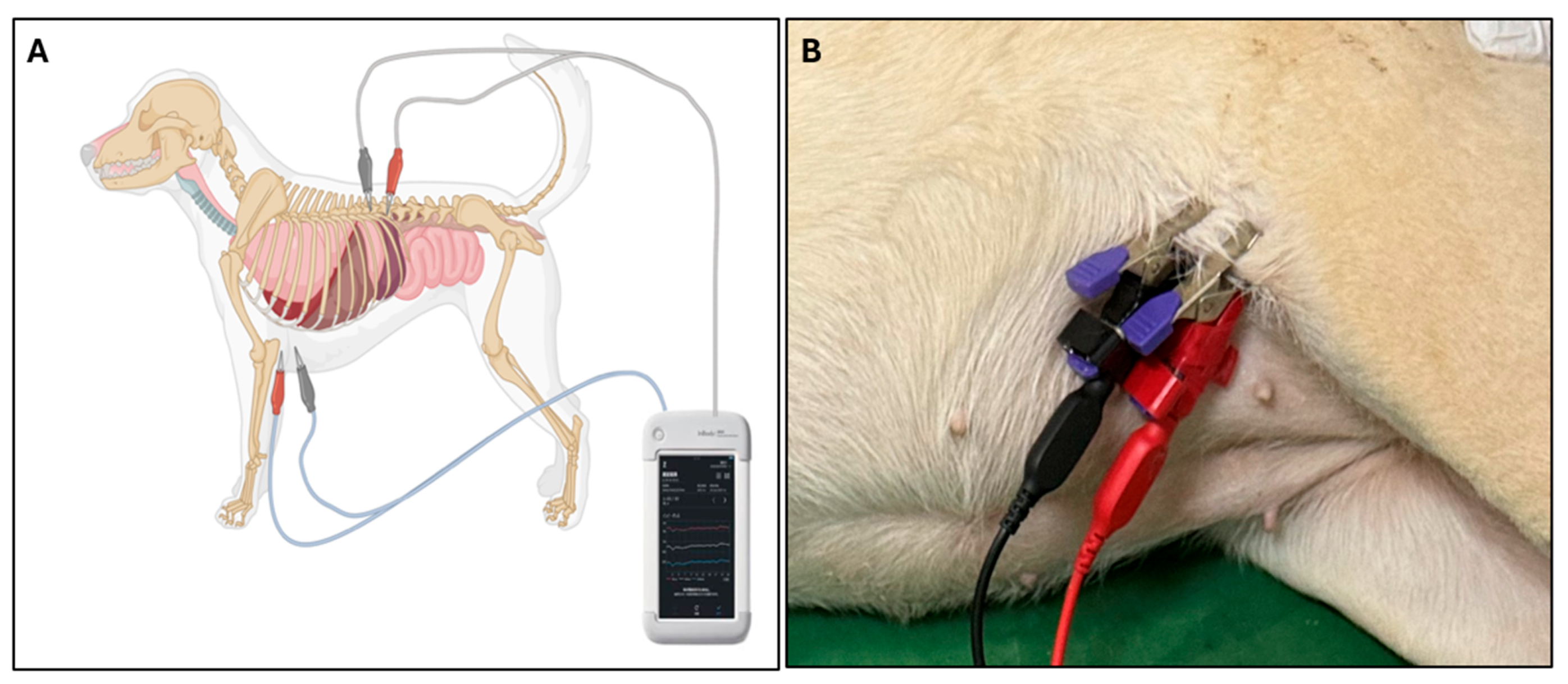Vetsci 12 01007 g001